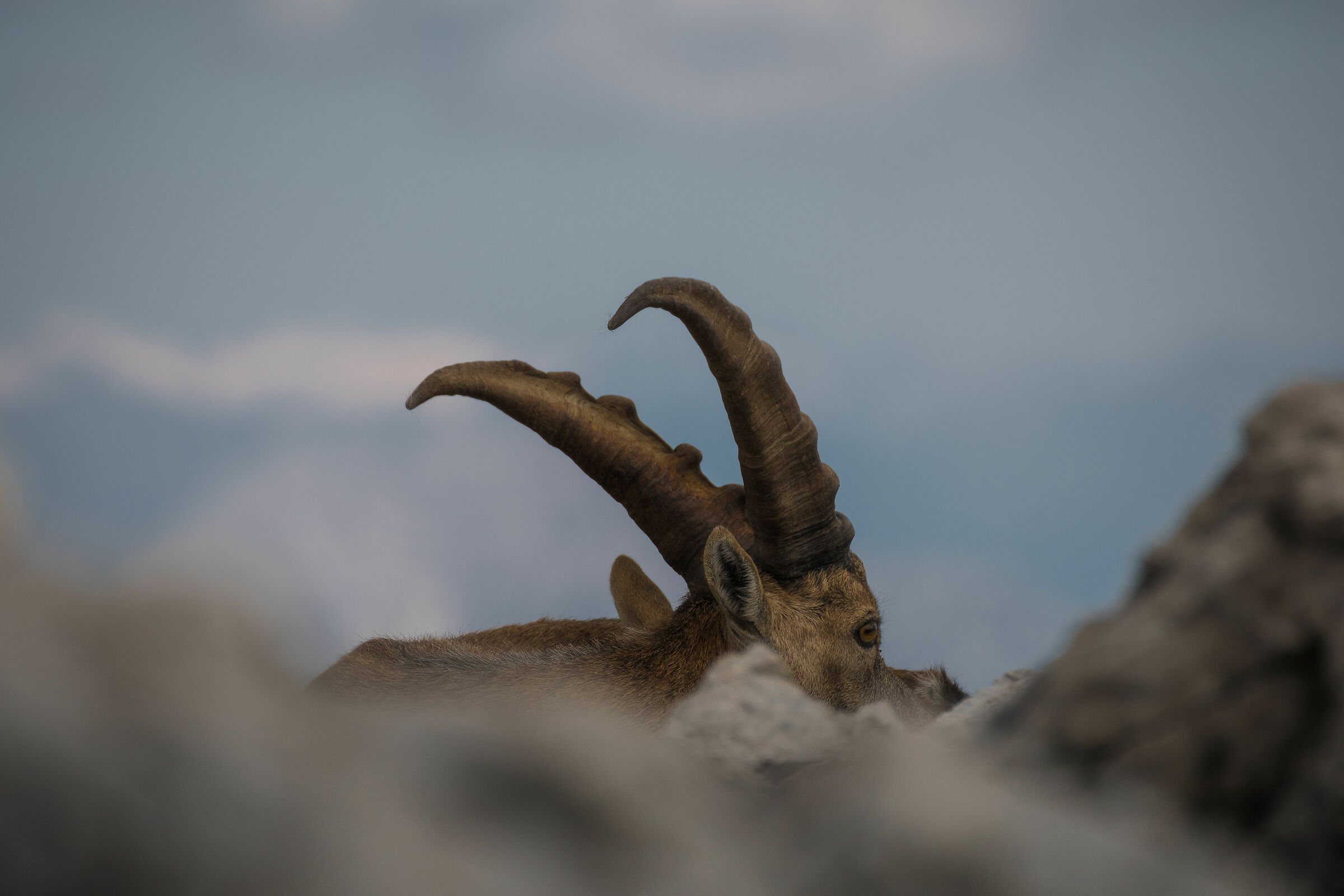 I play hide-and-seek