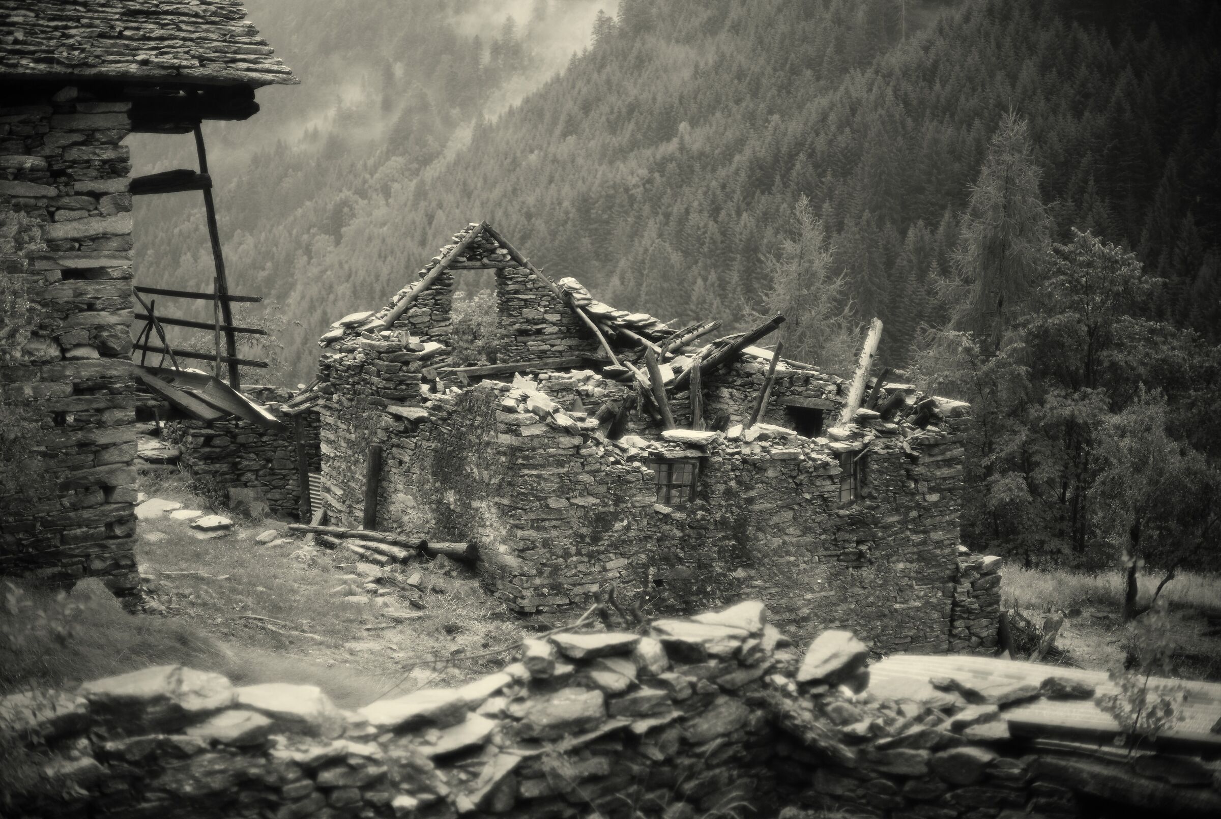 Triste fine... (Valle Onsernone)