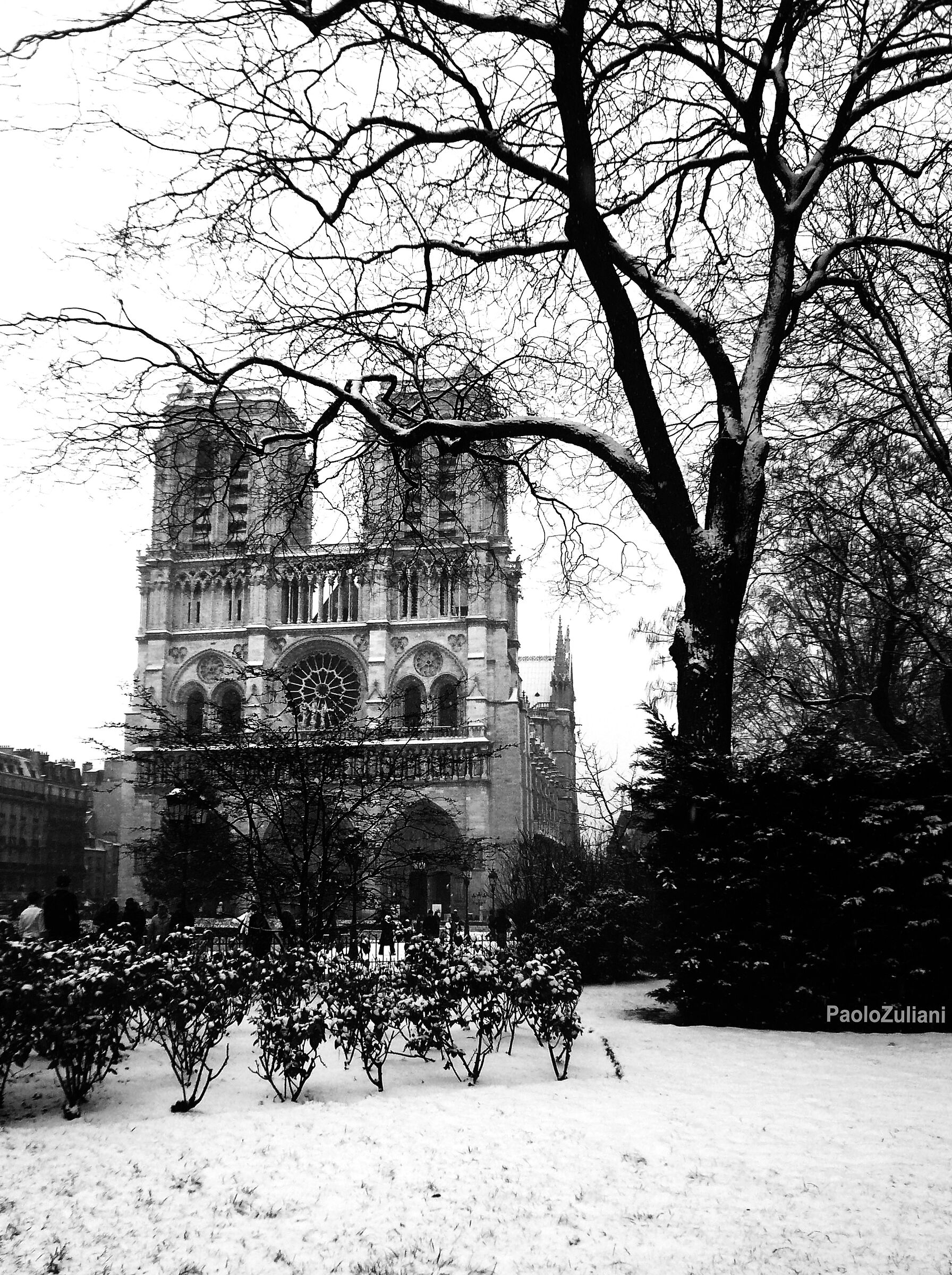 ... ricordando Notre Dame de Paris, con la neve.....