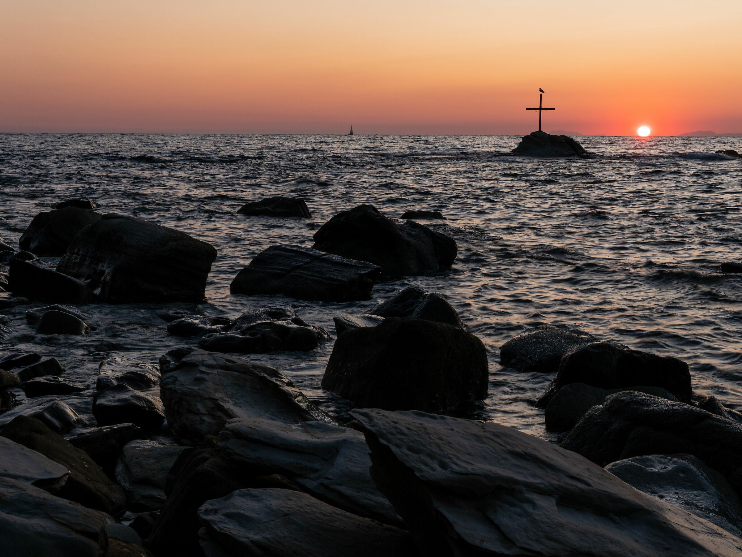 Tramonto in compagnia di un gabbiano