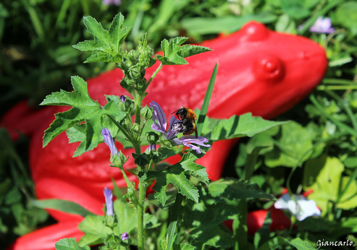 riciclare dare nuova vita alla plastica