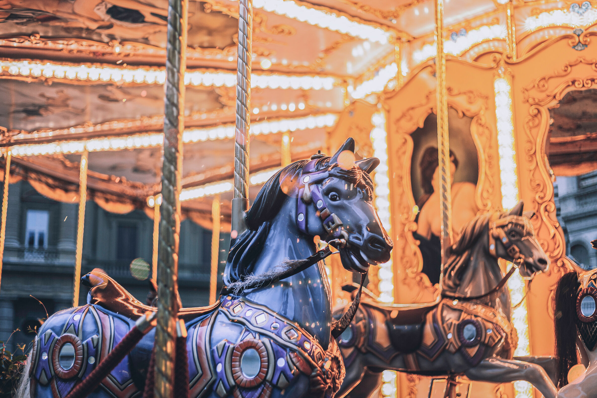 Cavallino