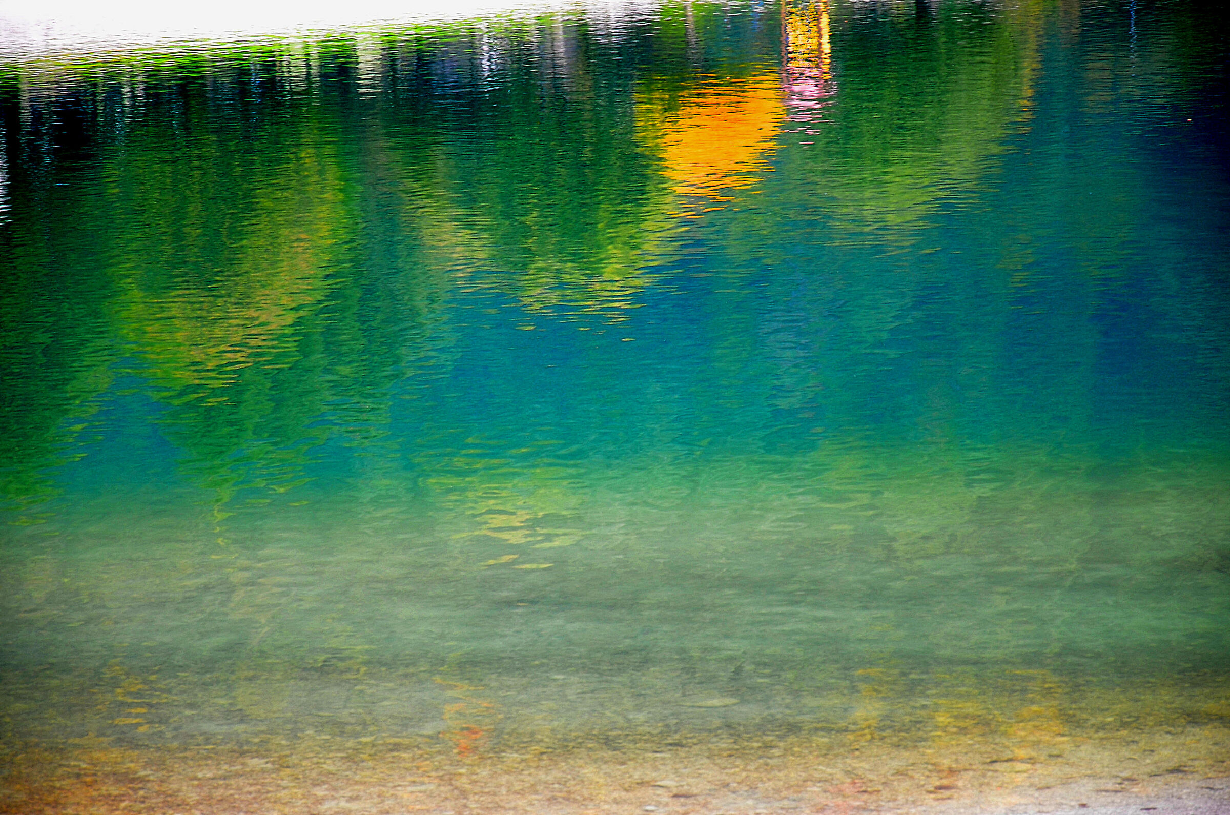 beets reflected osop_NP_0304MOD