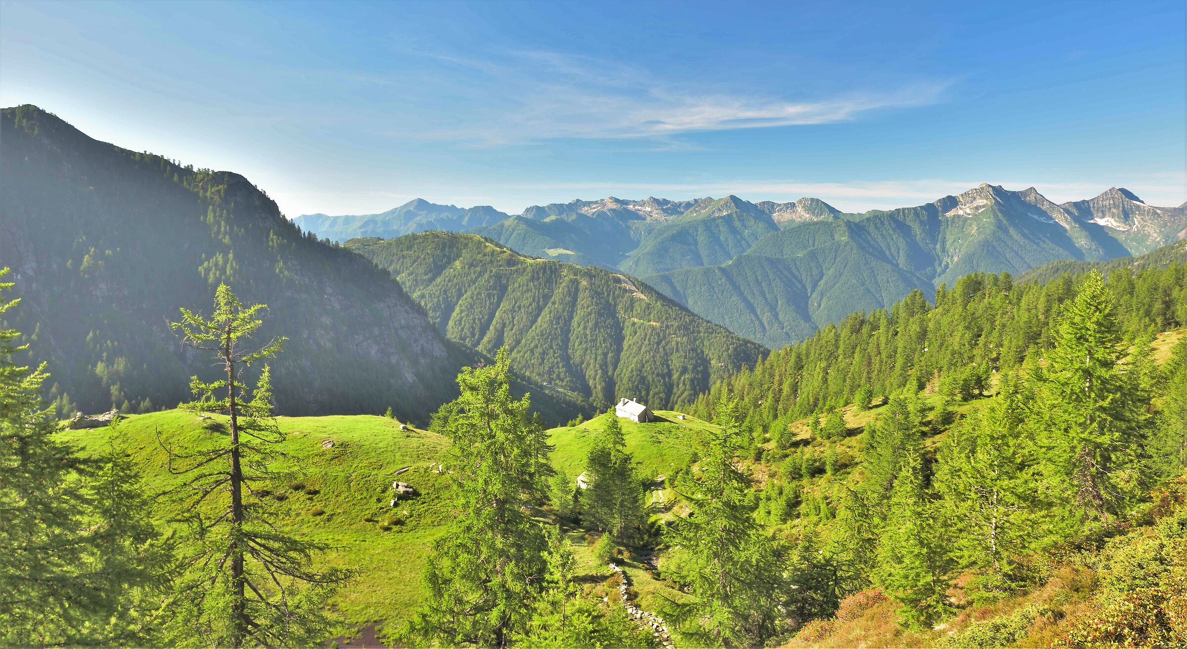 going up to Lake Panelatte