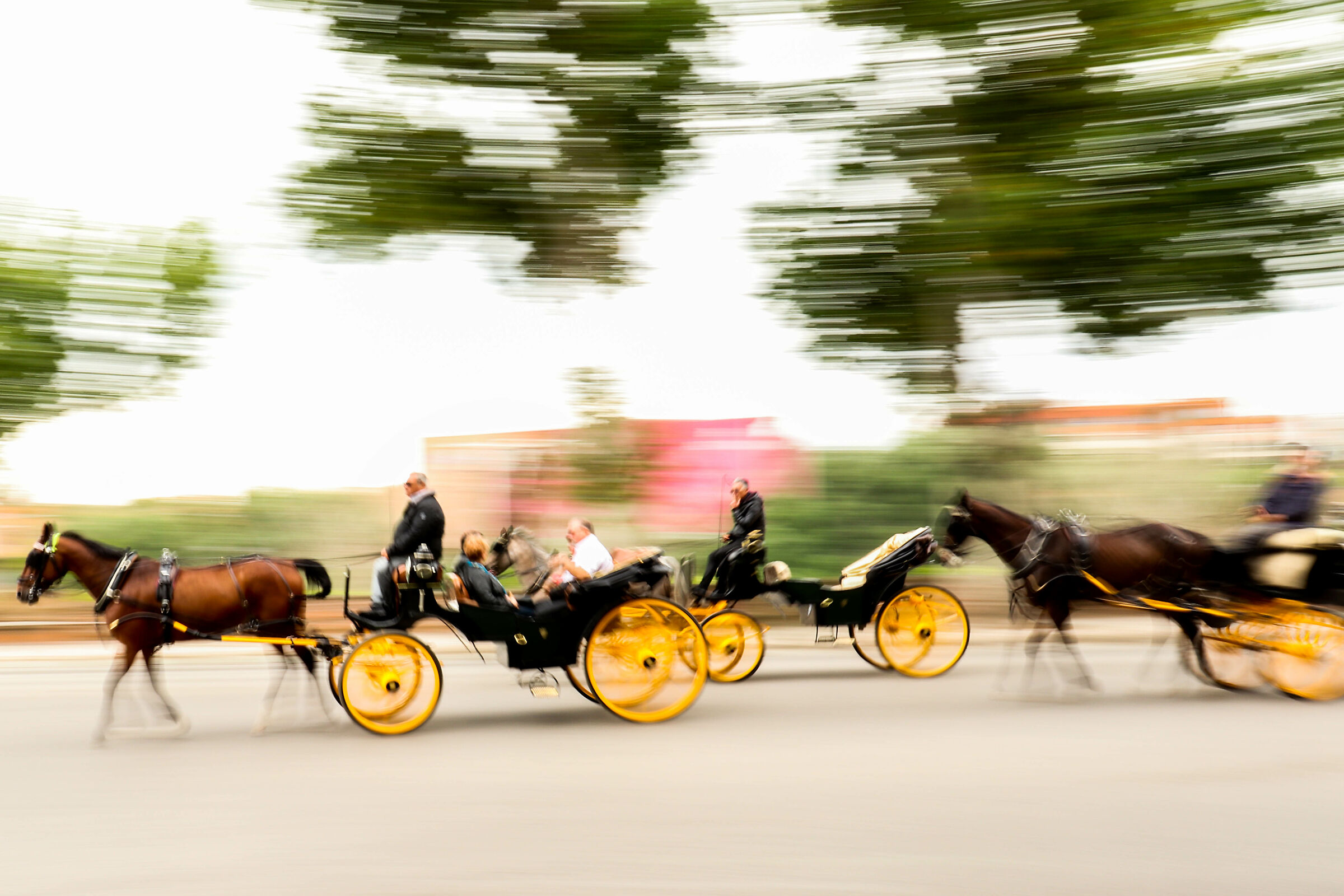 Carriage Panning