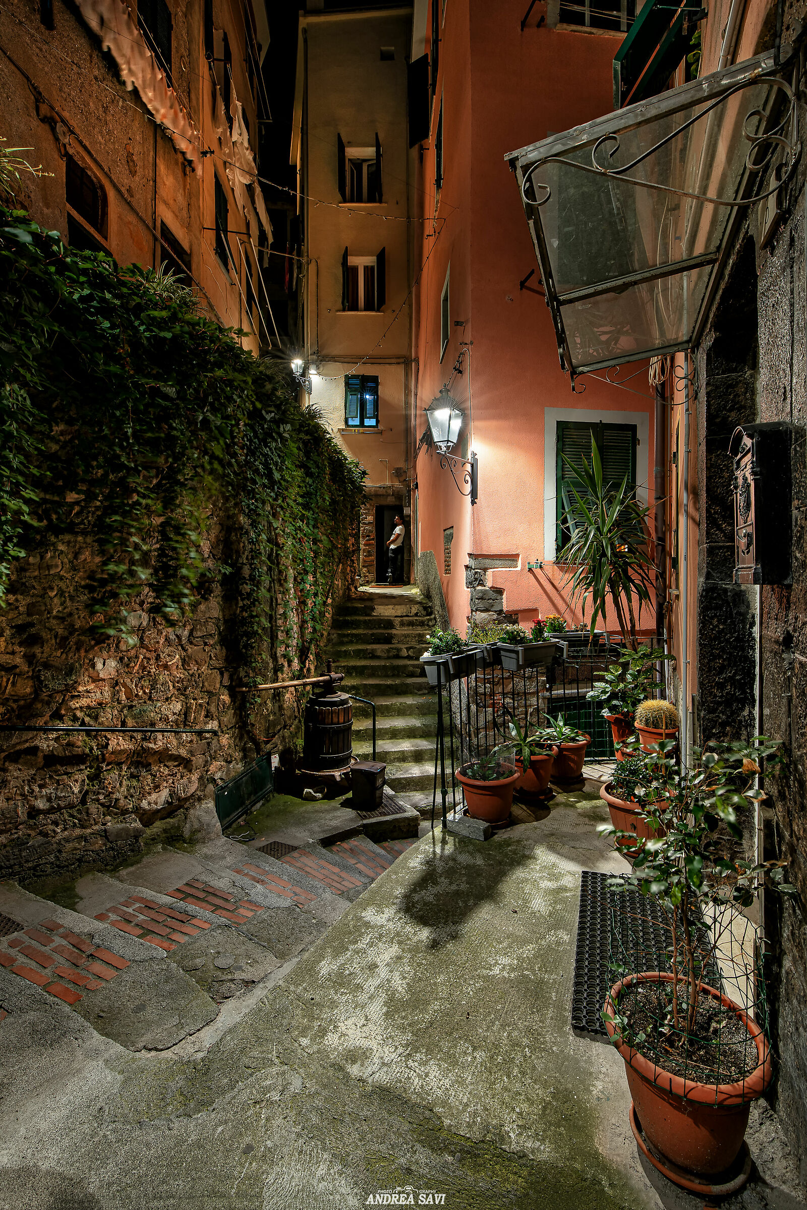 Night Glimpse in Vernazza (SP) - 3