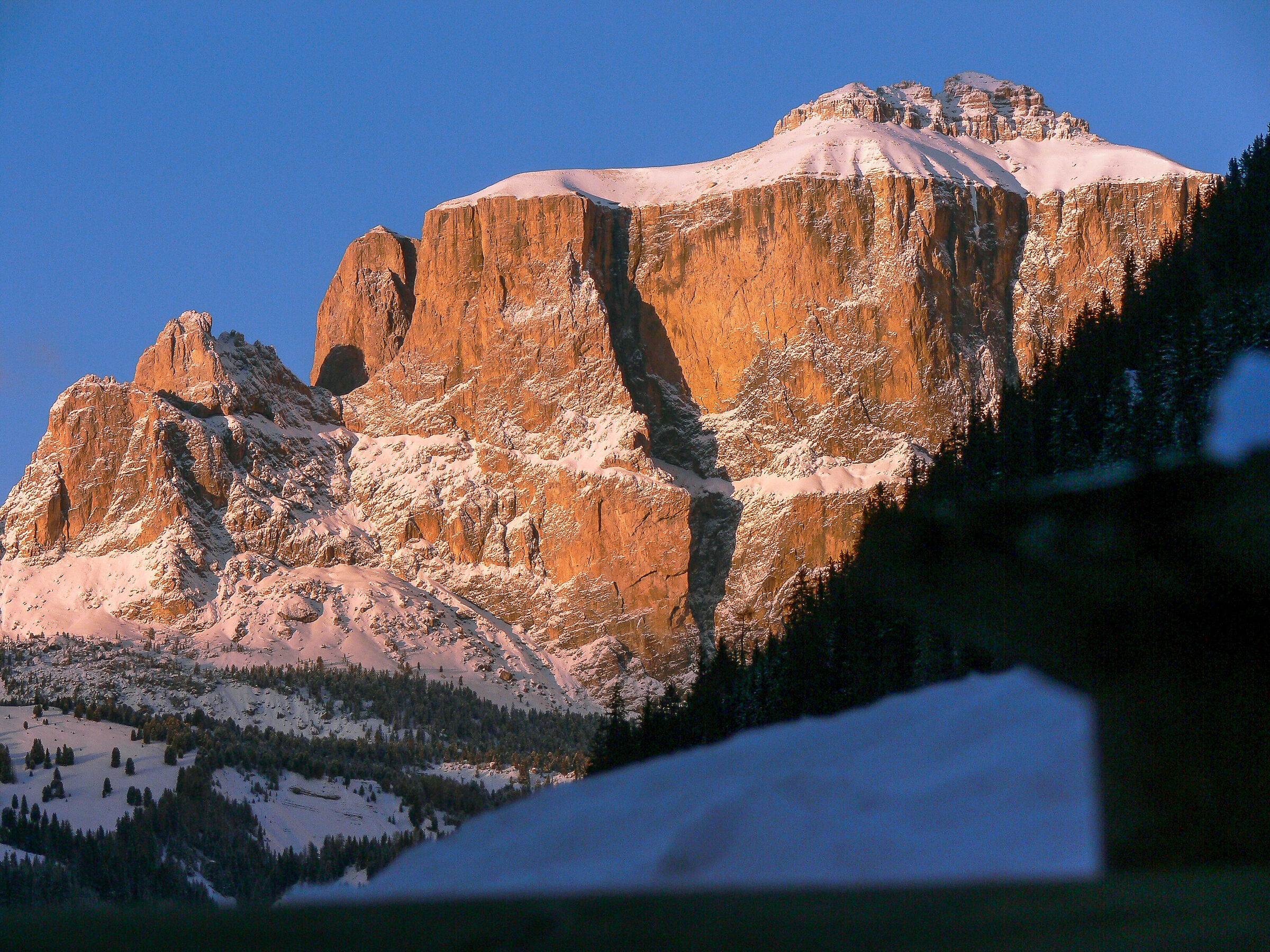 Massive...... Saddle