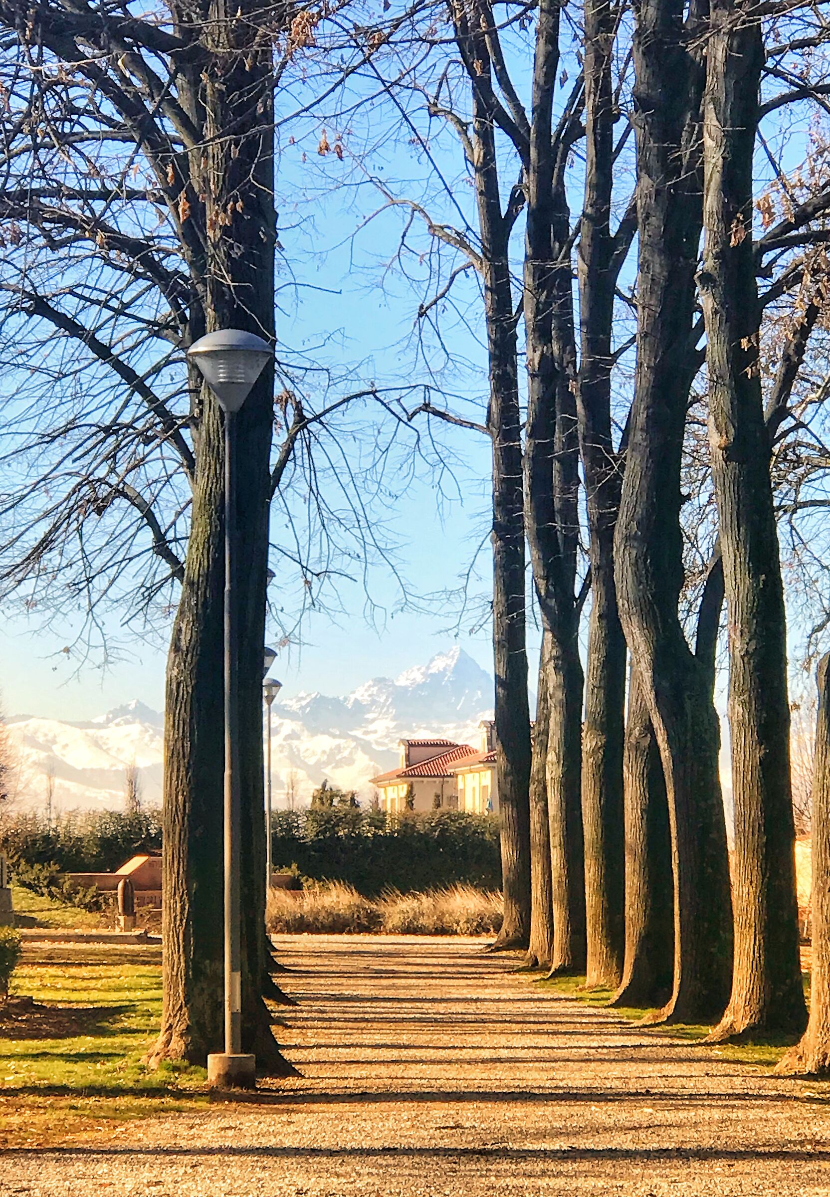 Cherasco and Monviso in the background