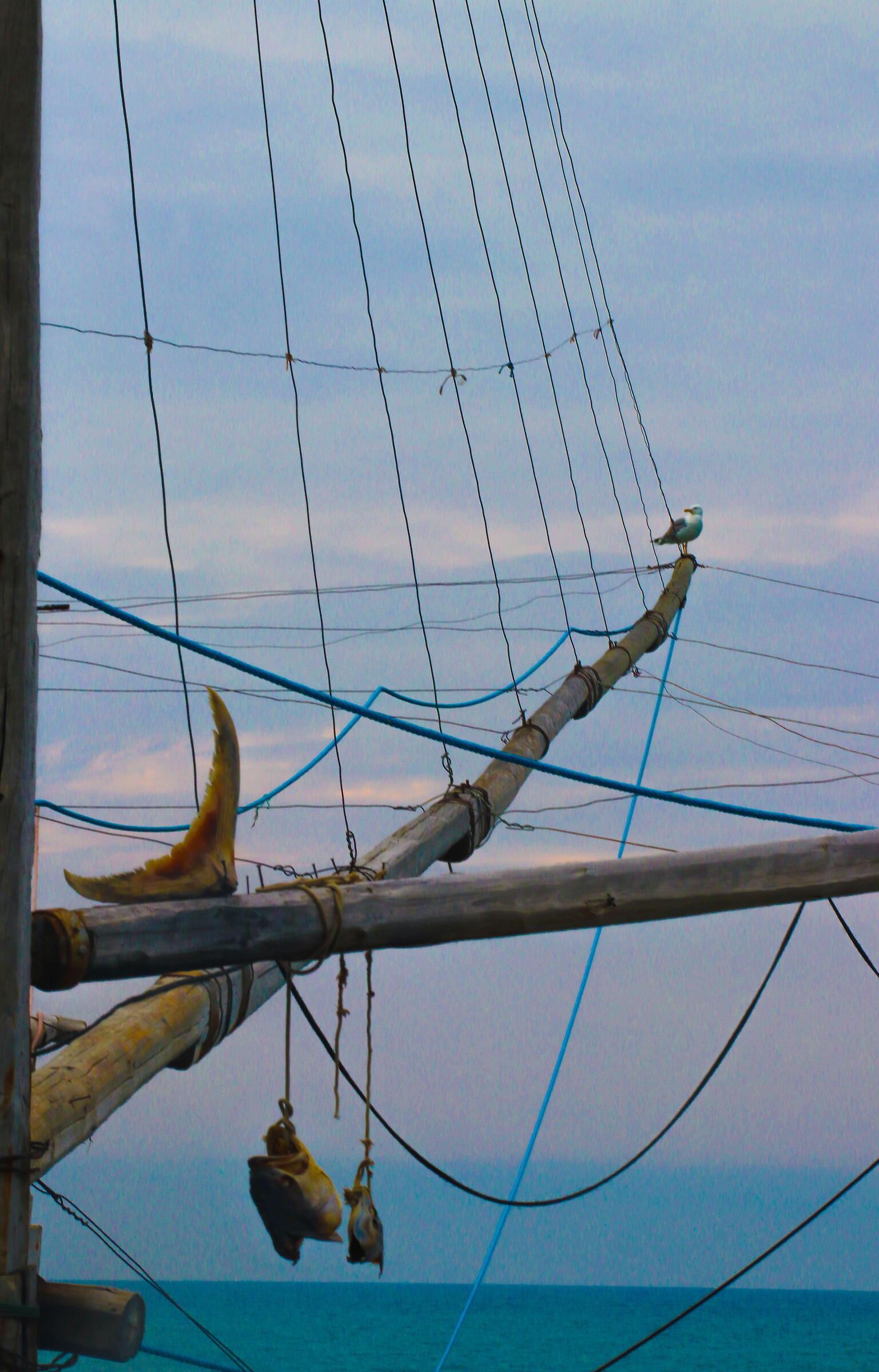 Al trabucco da Mimí #2