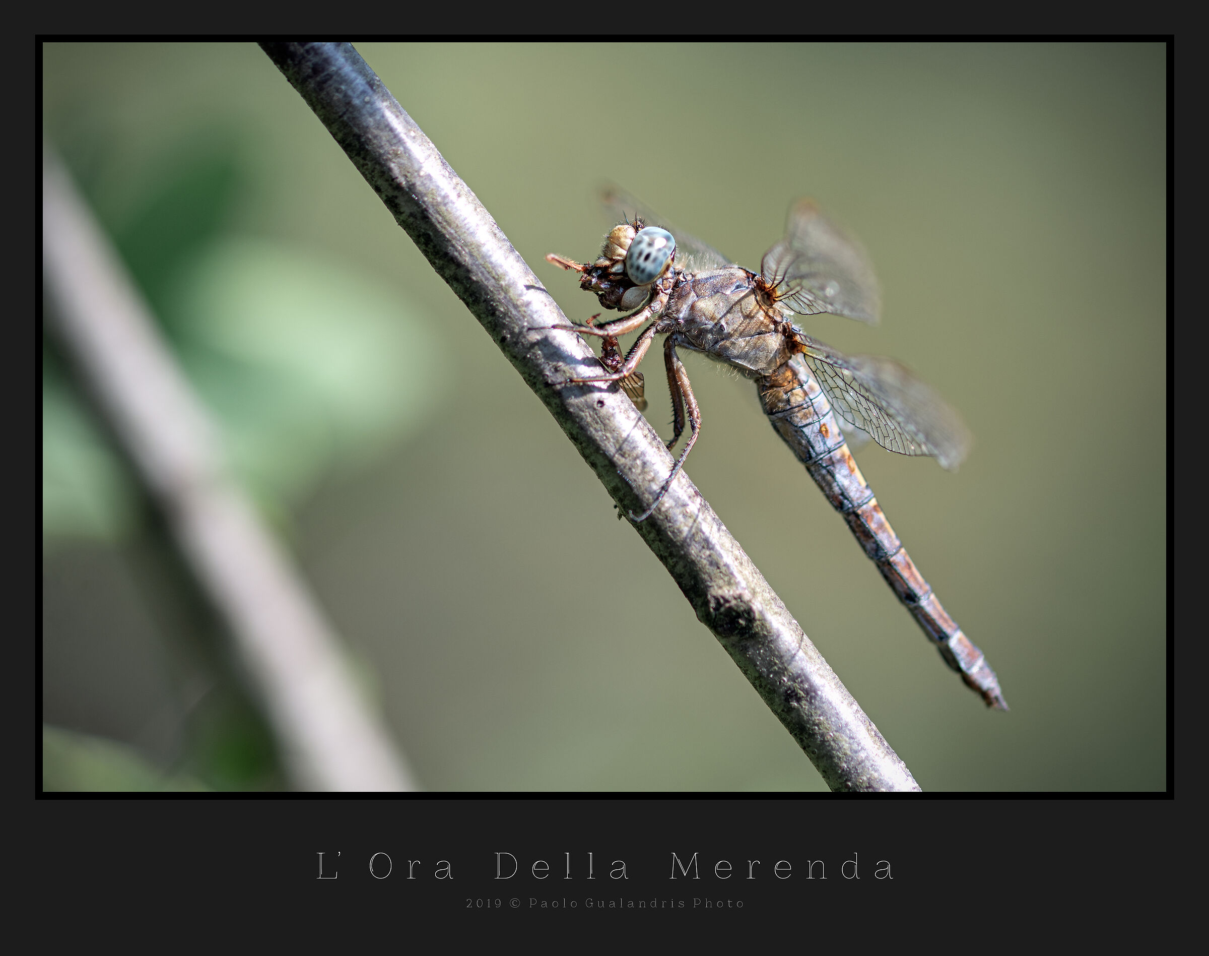 l' Ora Della Merenda