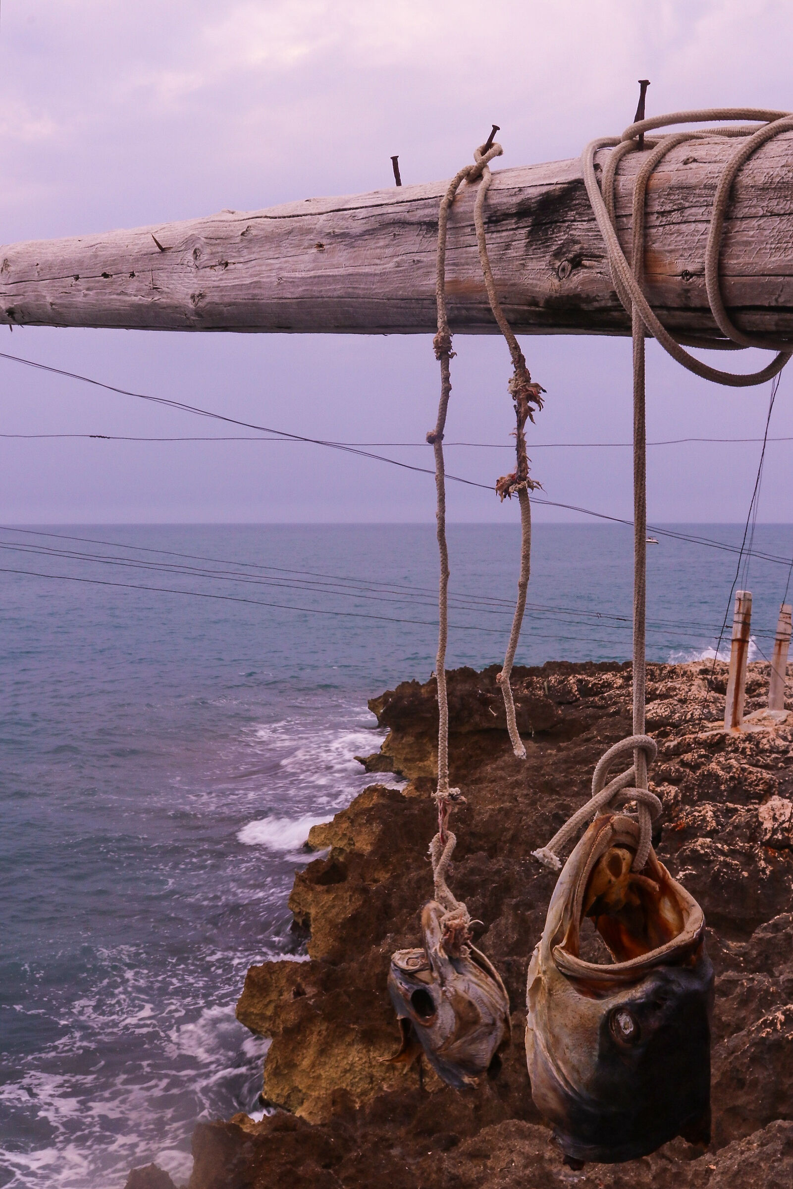 Al trabucco da Mimí #3