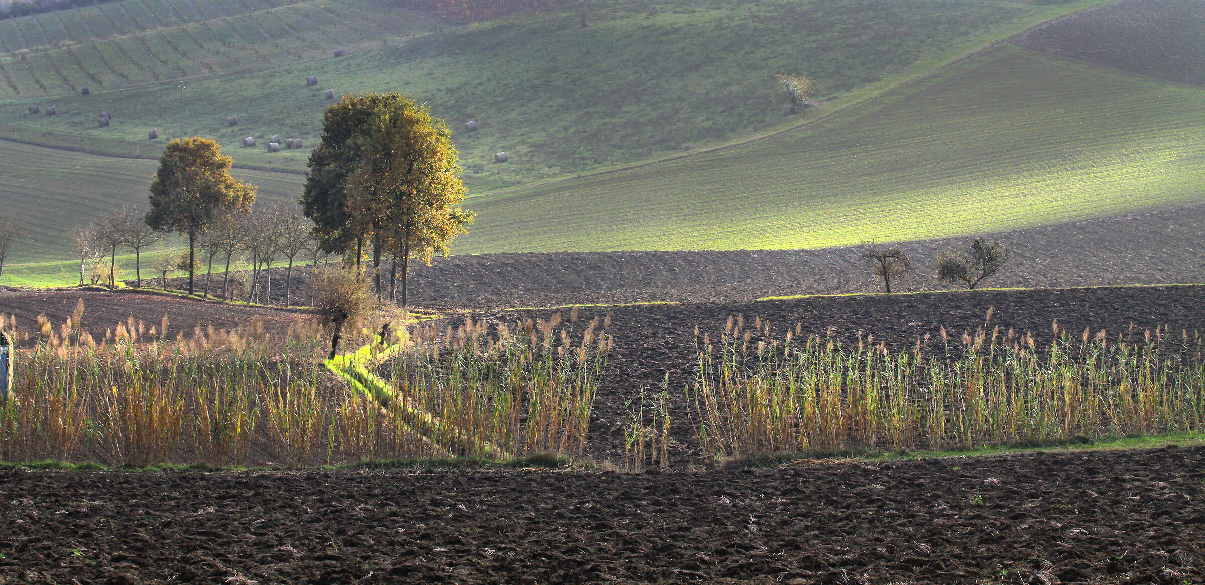 Panorama Monferrino.