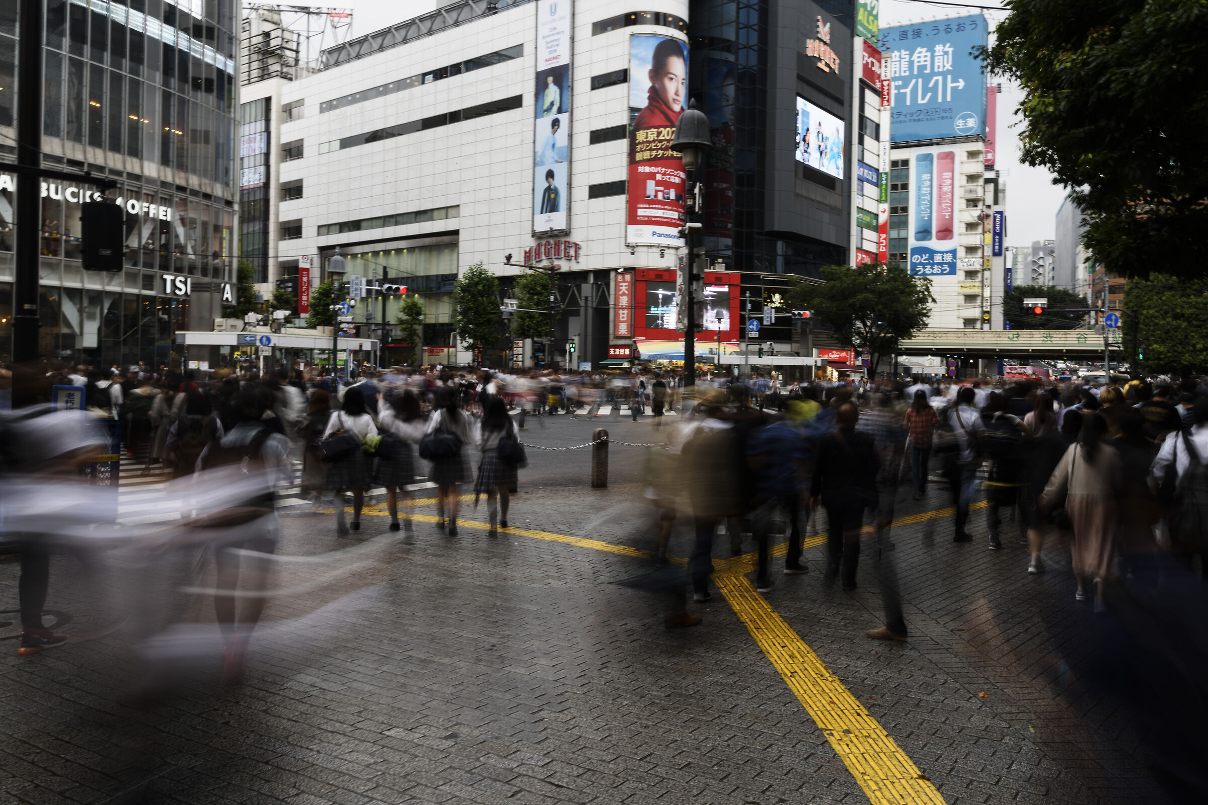Tokyo - Shibuya Crossing