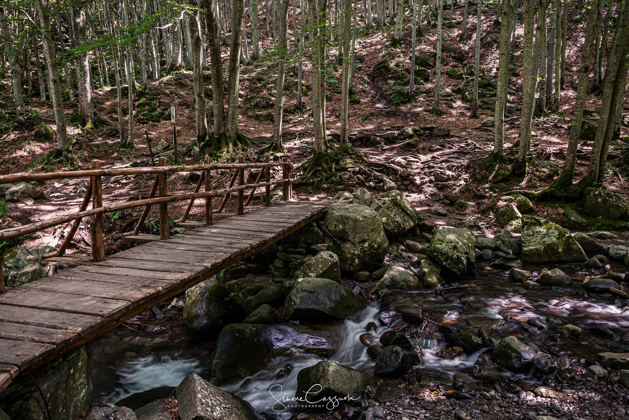 L'inizio del Viaggio