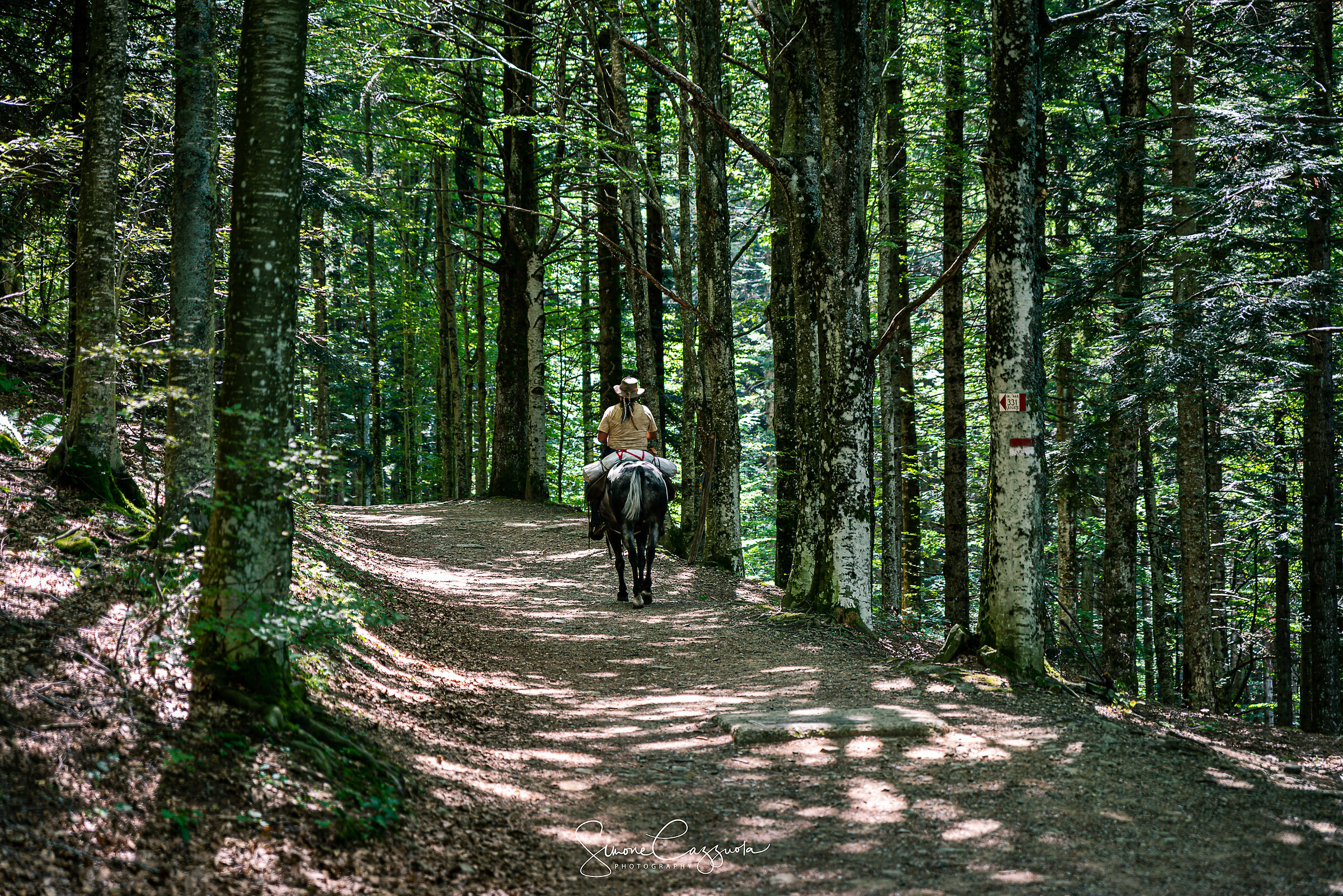 Passeggiata a Cavallo