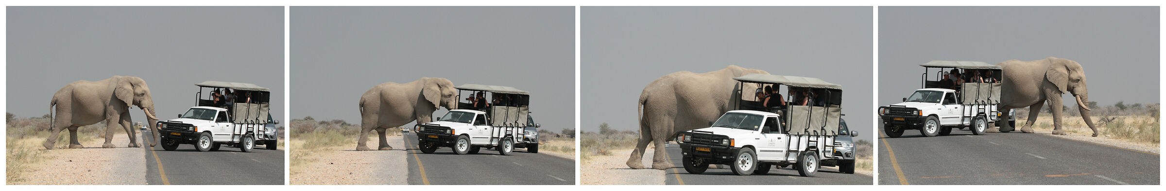 Lasciare libero il passo grazie.