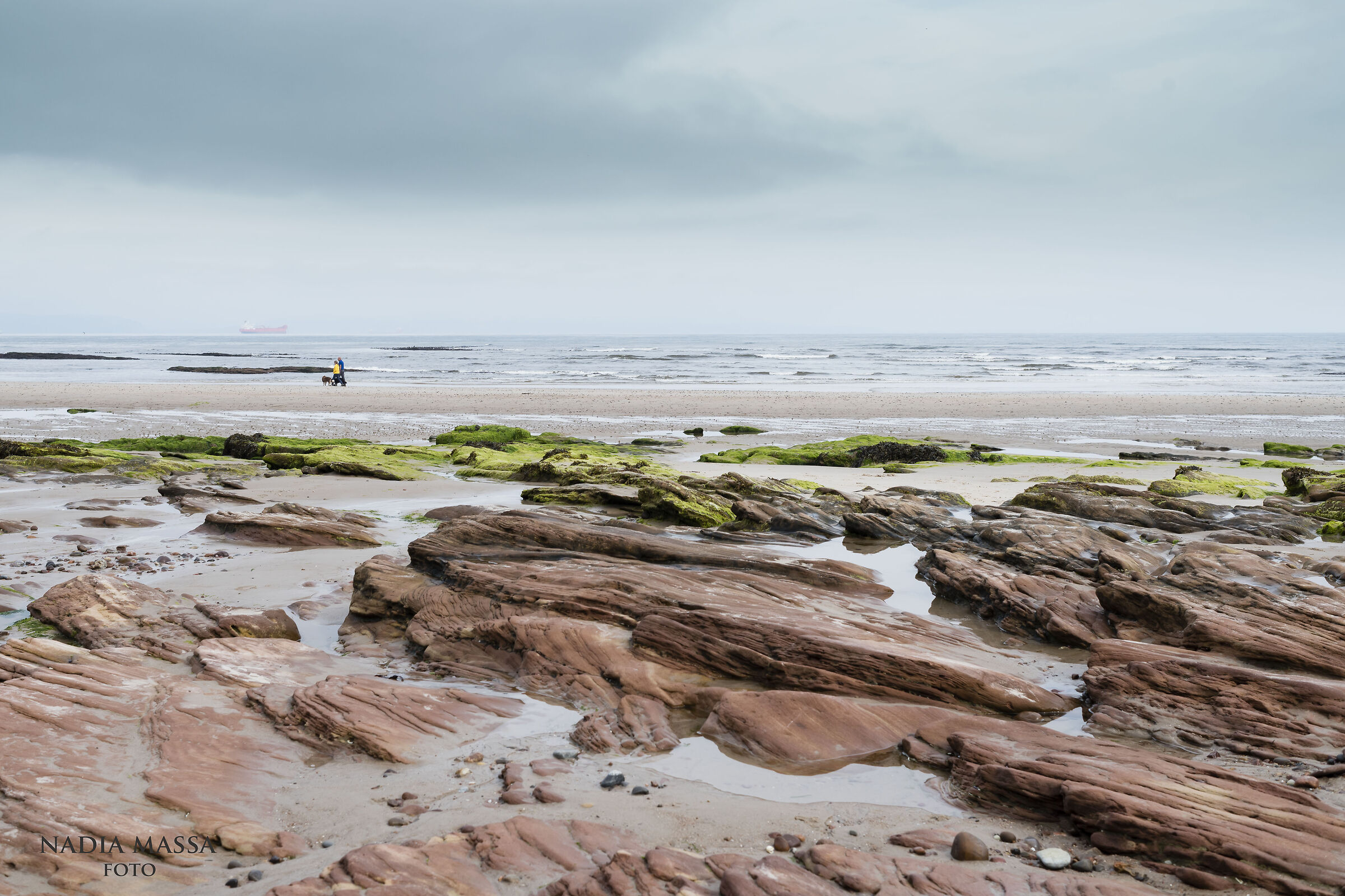Nairn Beach, California