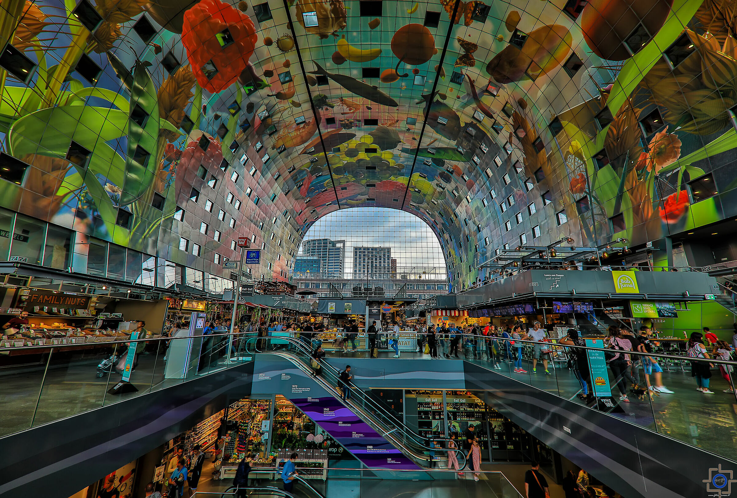 Rotterdam the Markthal
