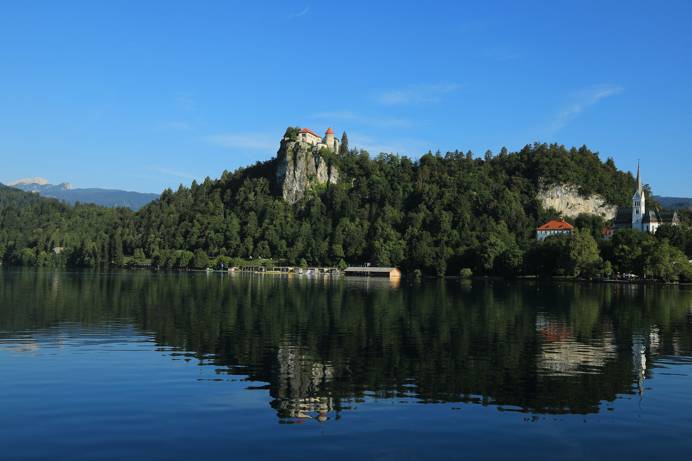 Morning in Bled