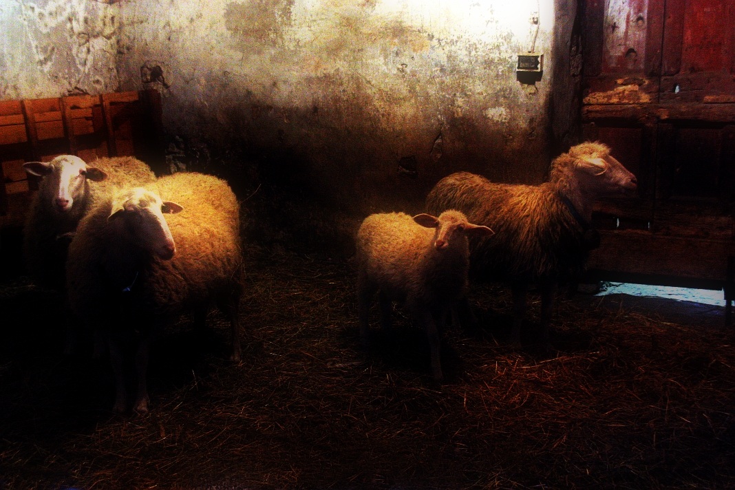 From my pastor friend