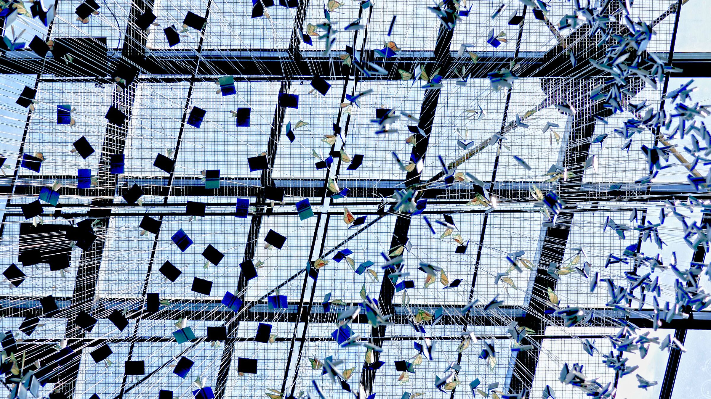 Books and butterflies