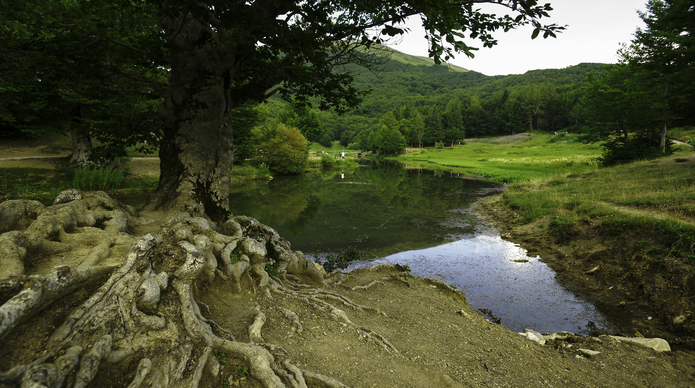 "Lago Calamone" croppato