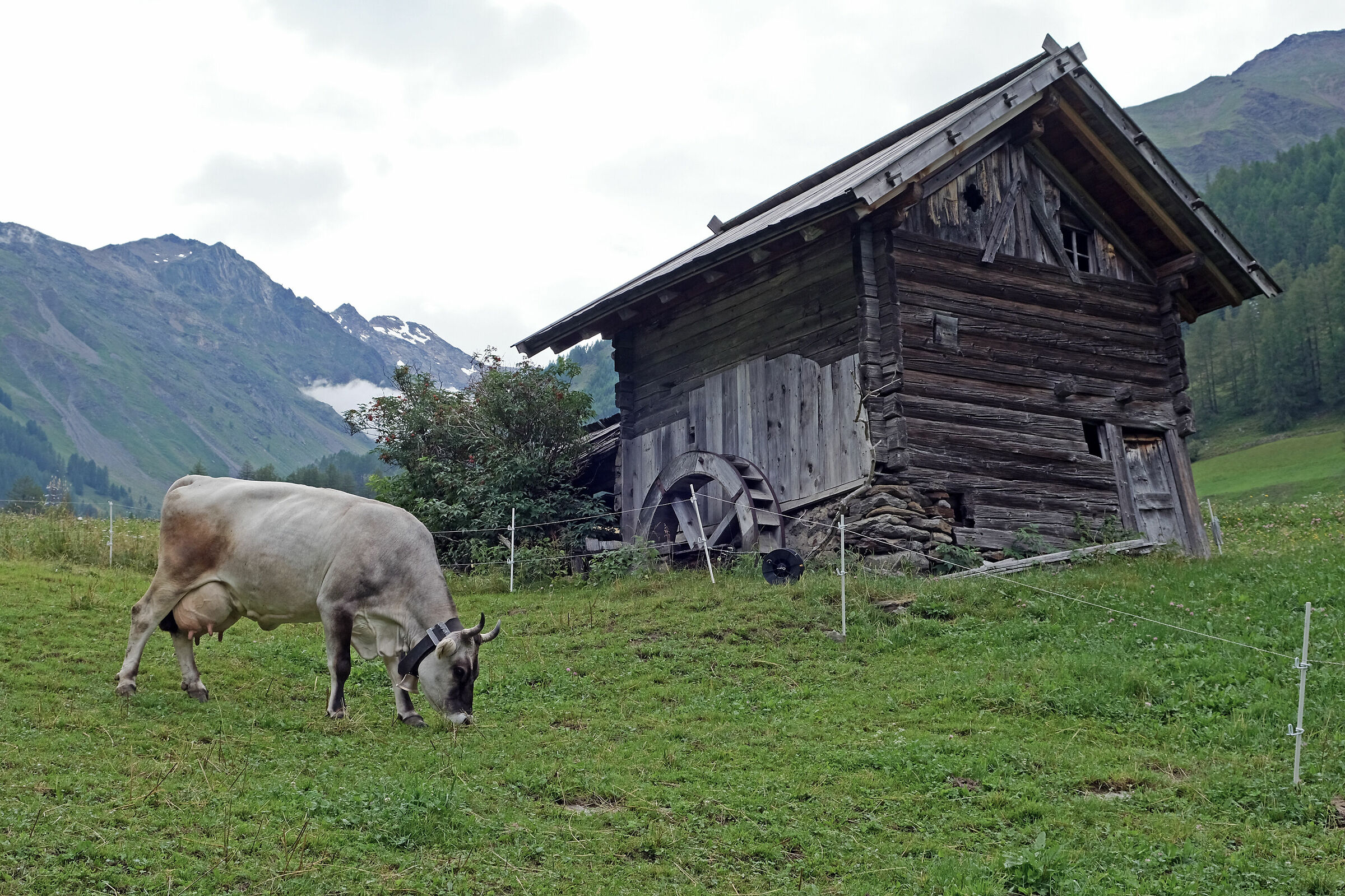 Val Senales.... the old mill