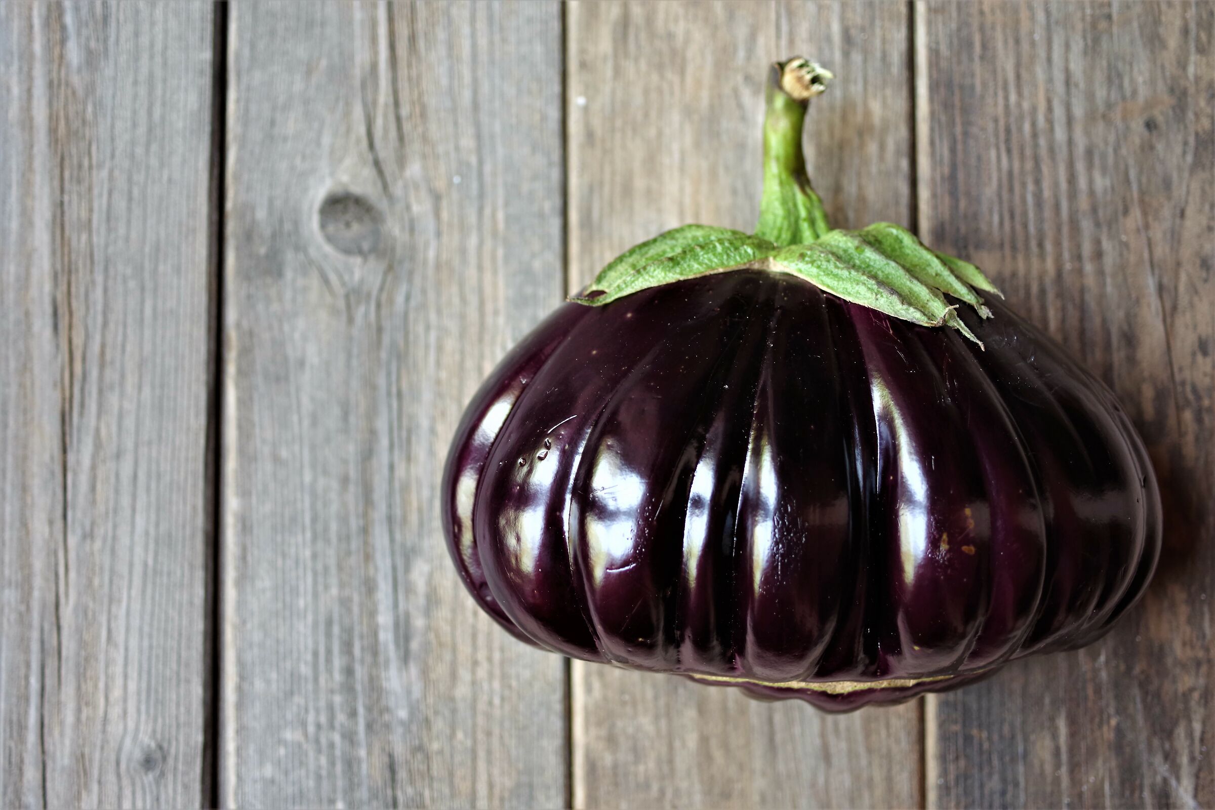 Eggplant