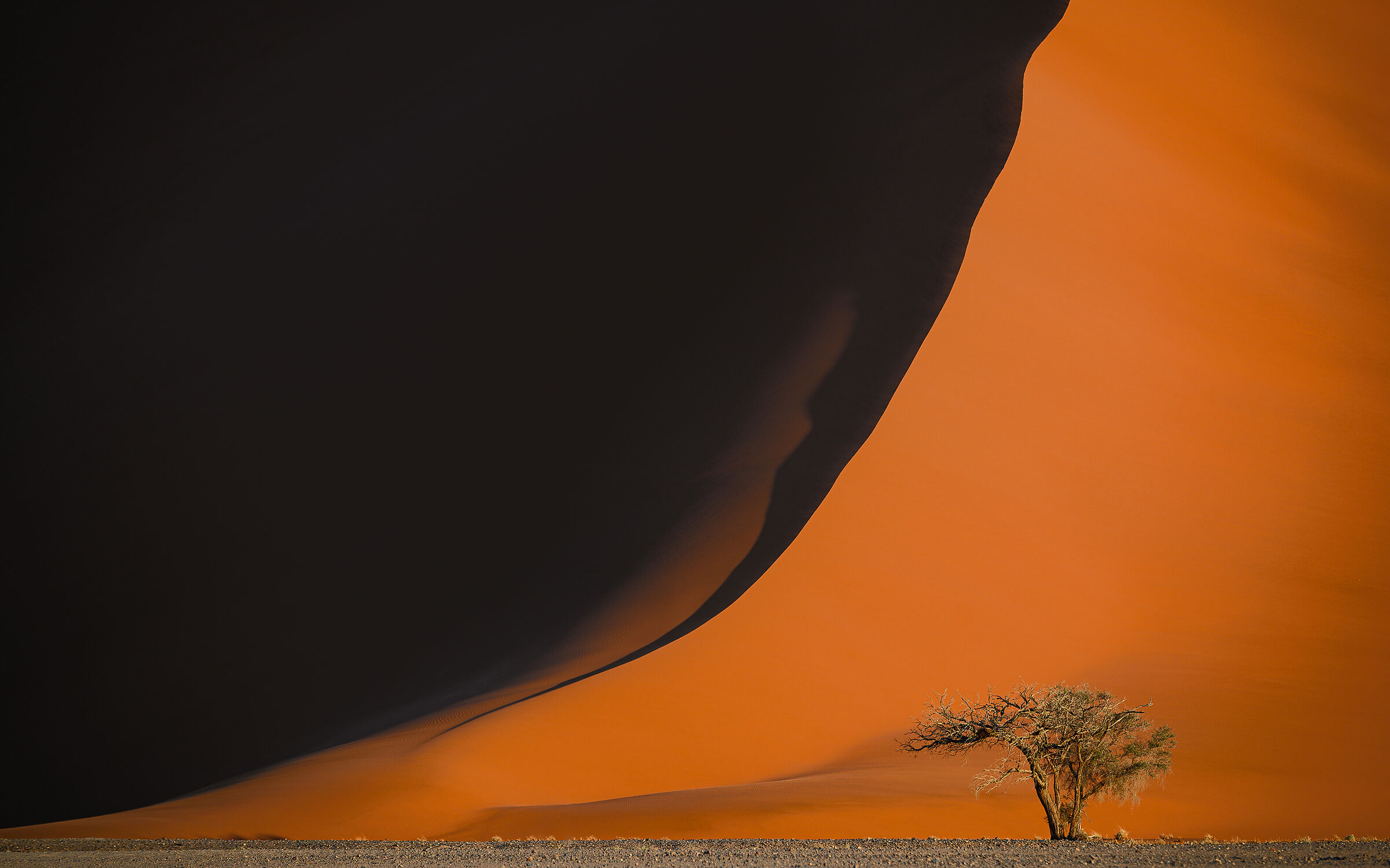 Duna in the desert