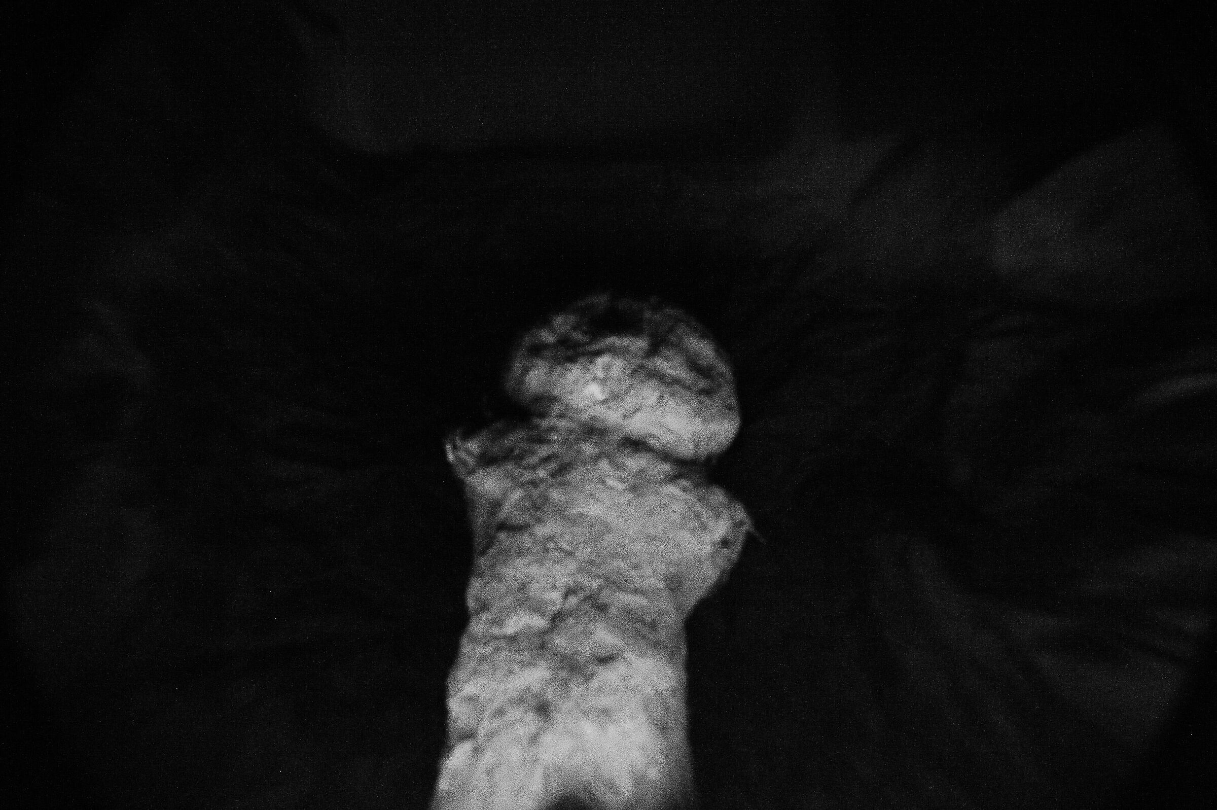 The Infernal Creature 002