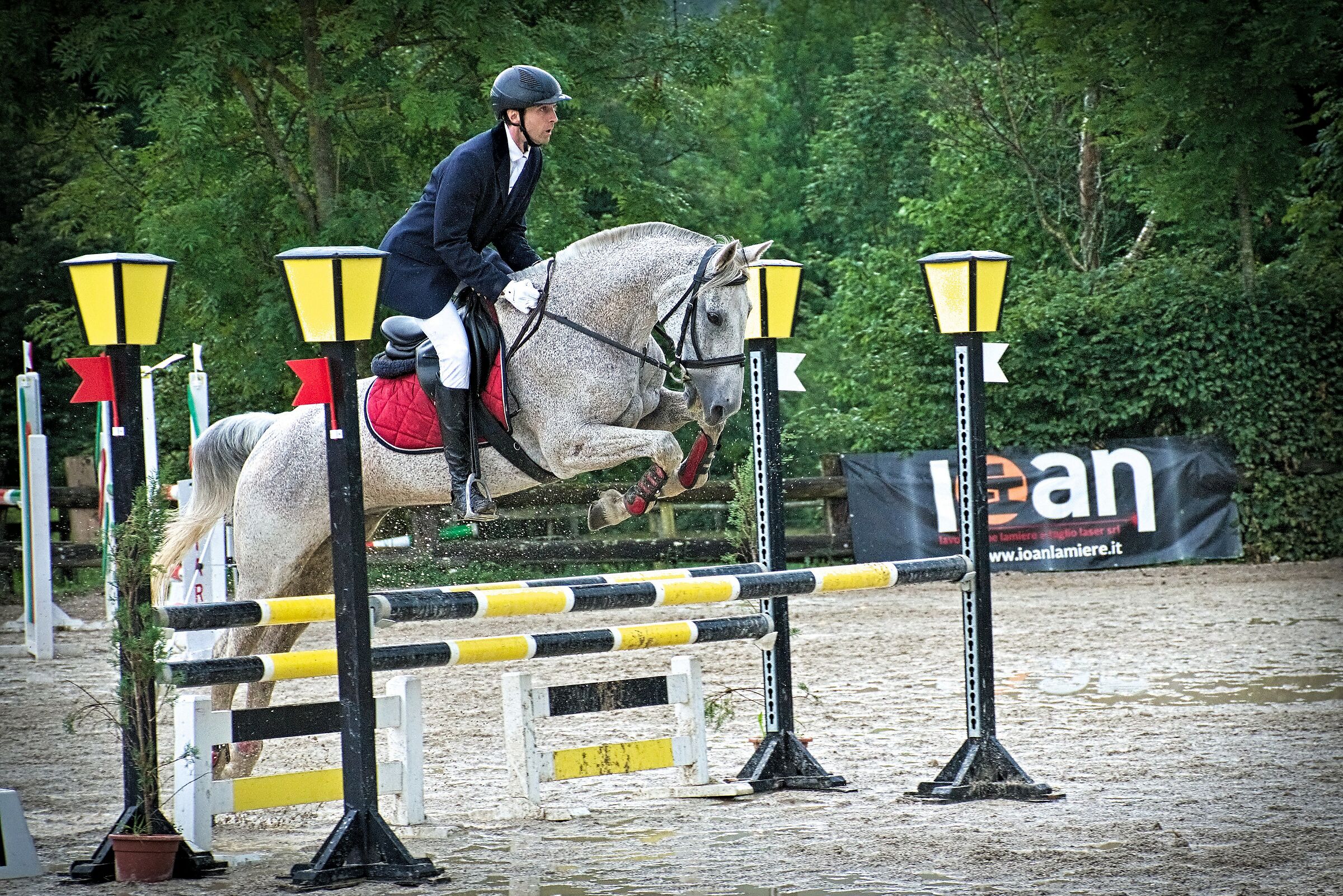 Categoria 100