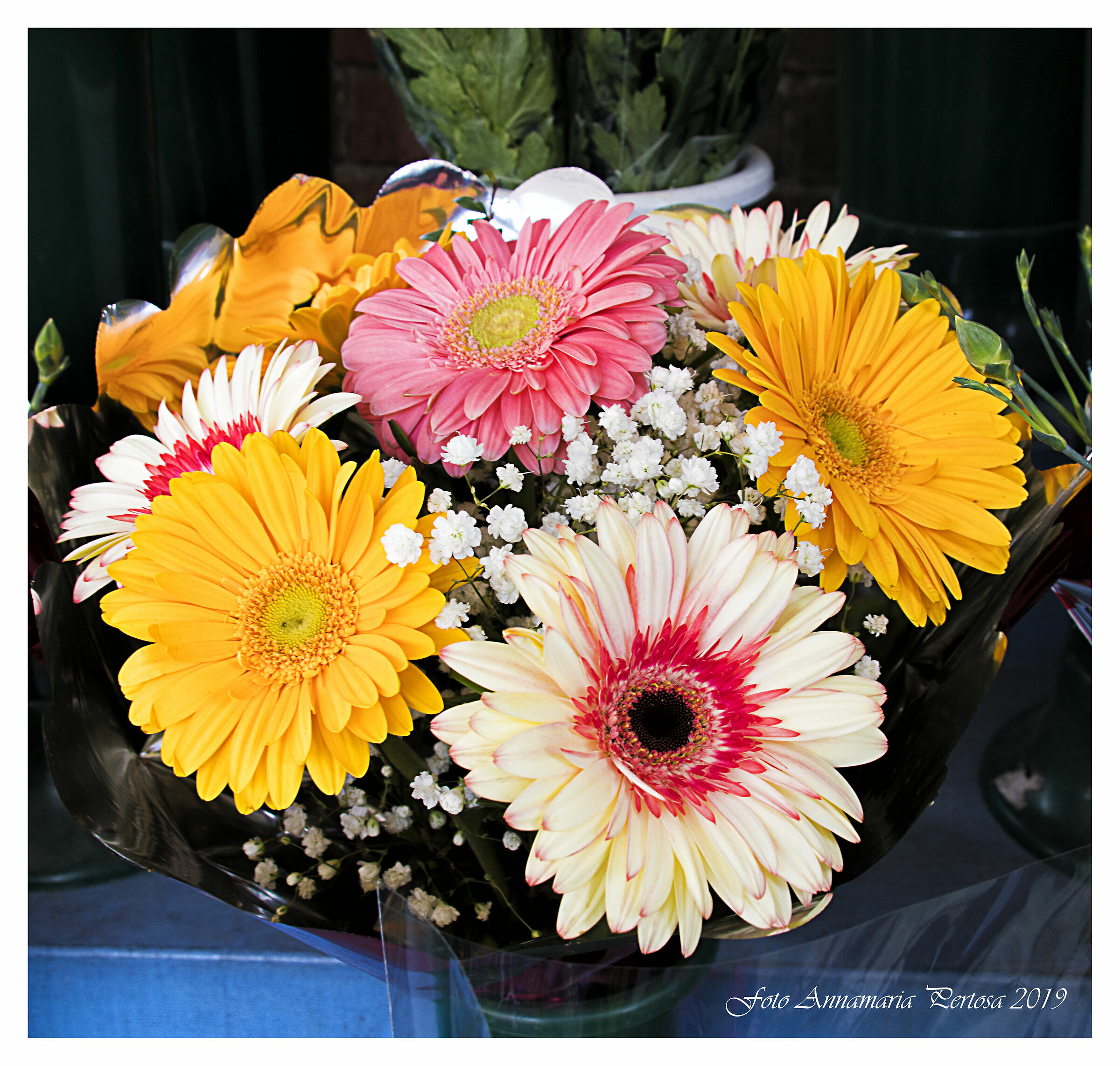 Tribute to Marisa by Claudio Cozzani