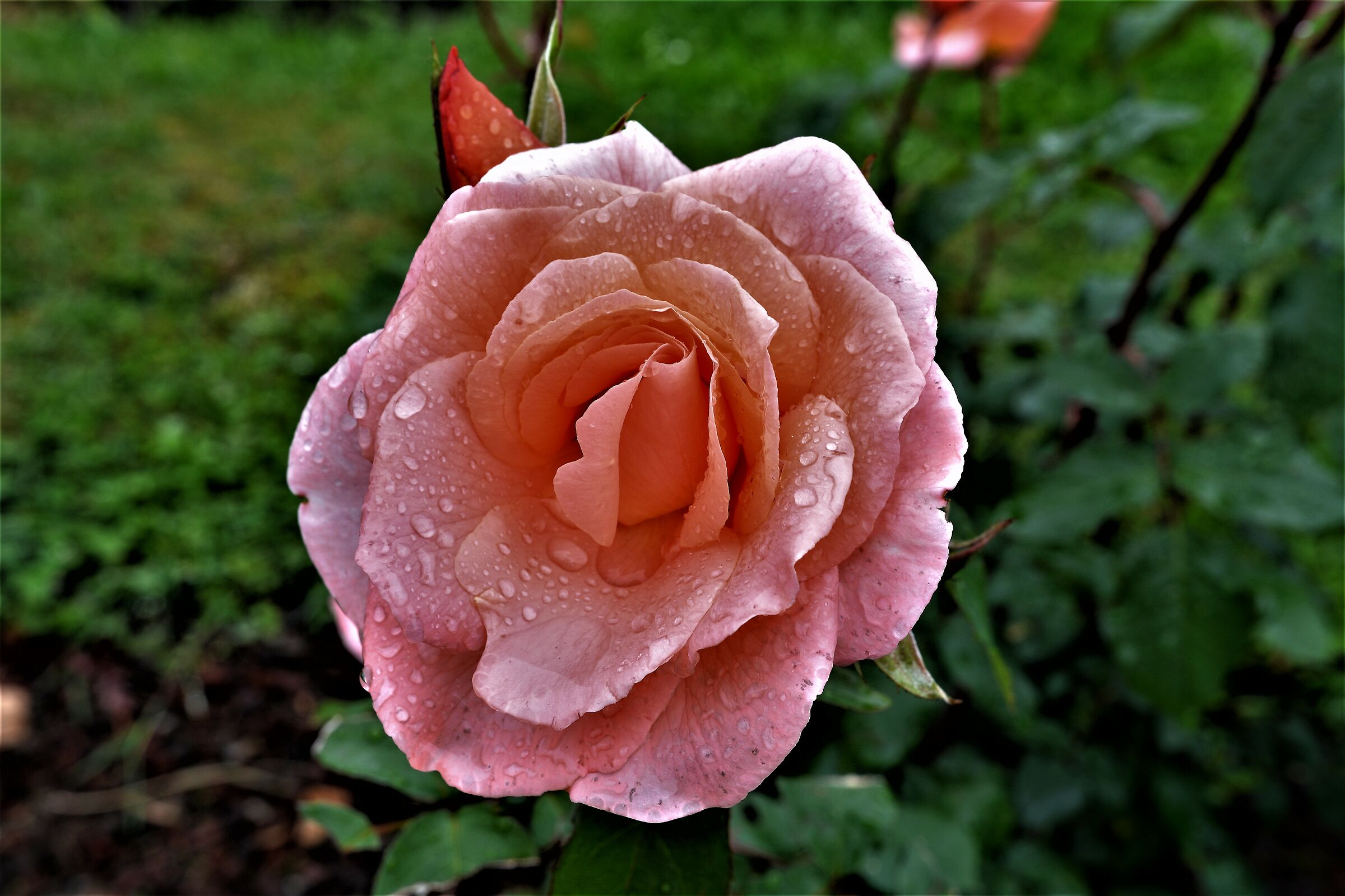 After a little rain.