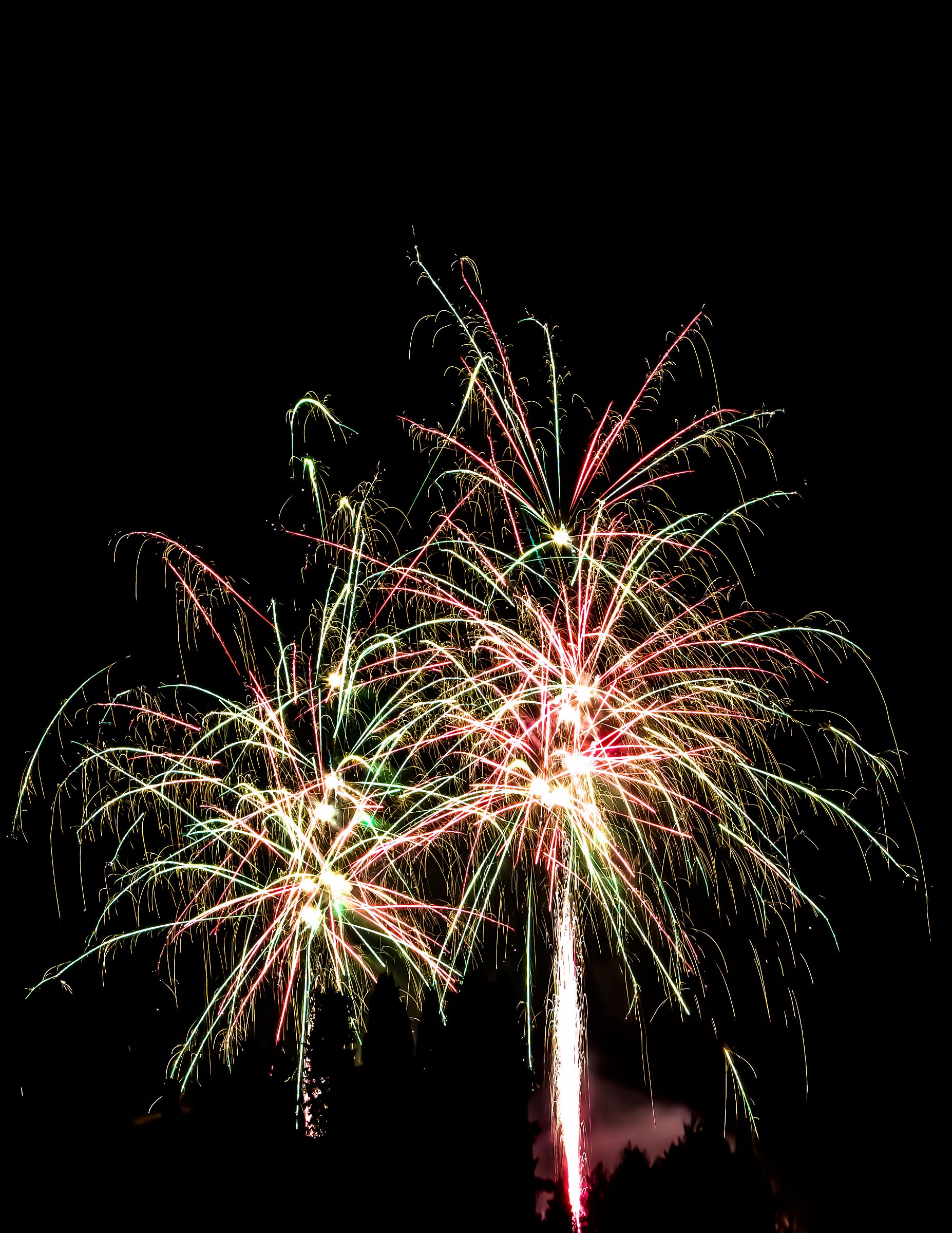 Felice Anno Nuovo !!!