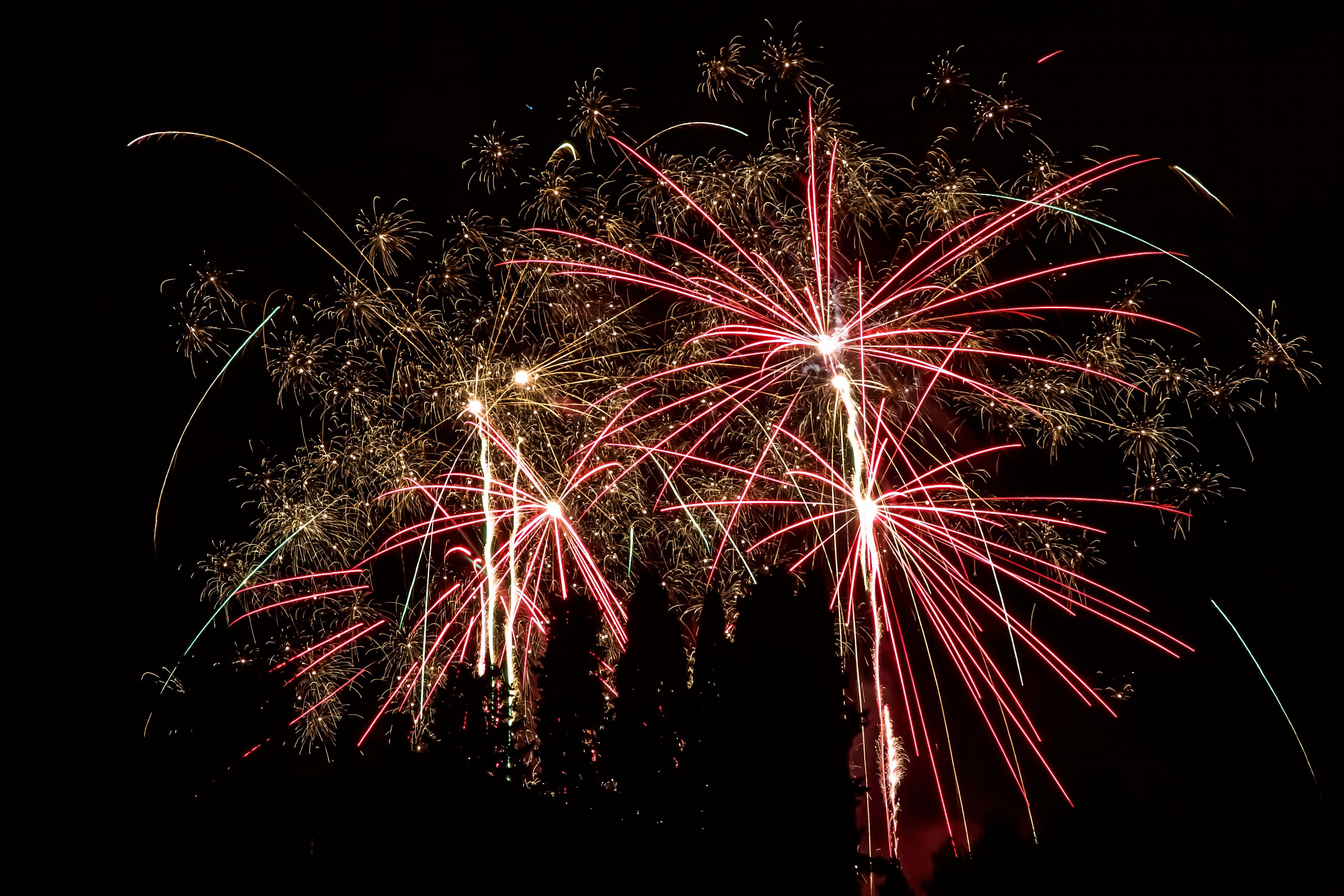 Felice Anno Nuovo !!!