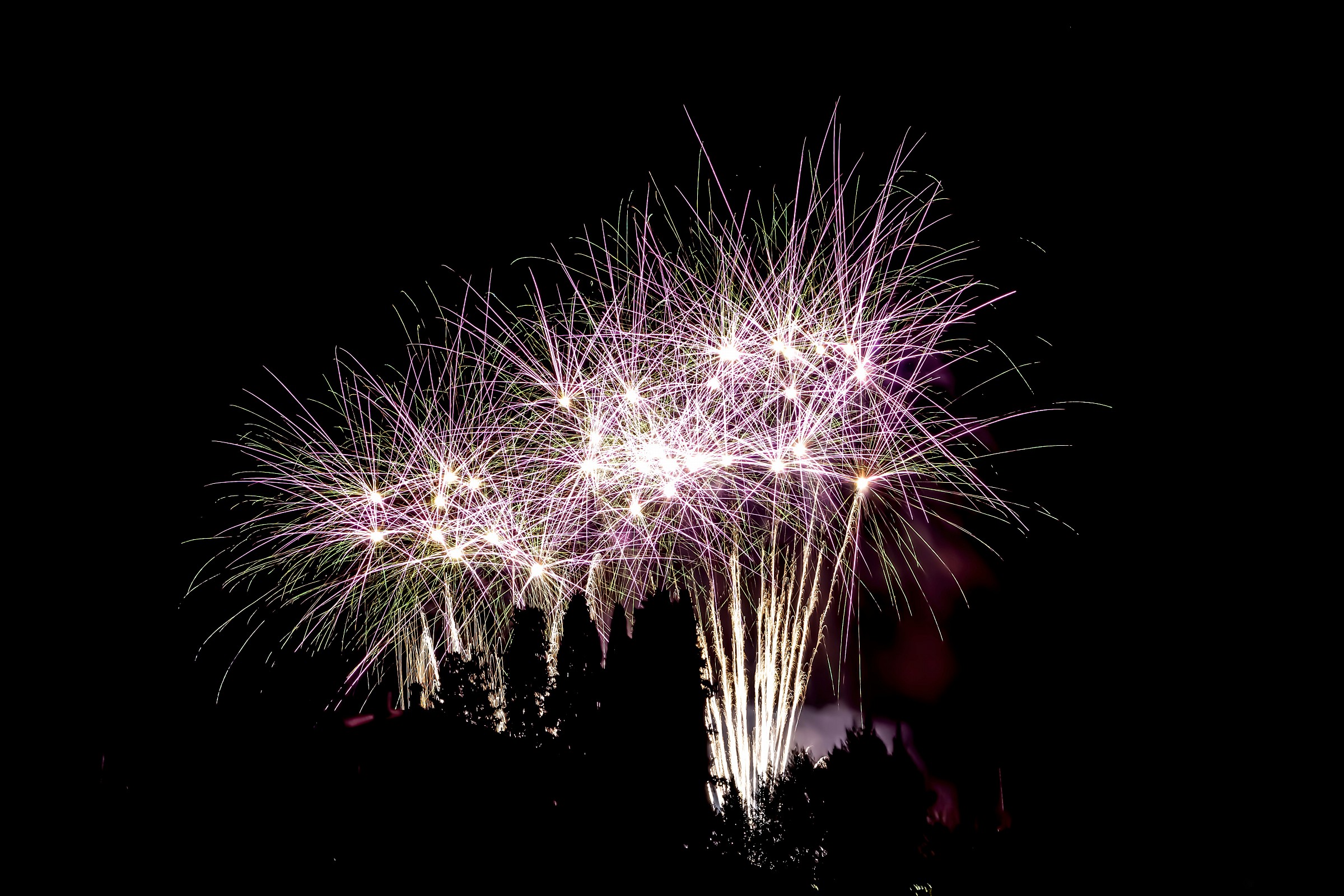 Felice Anno Nuovo !!!