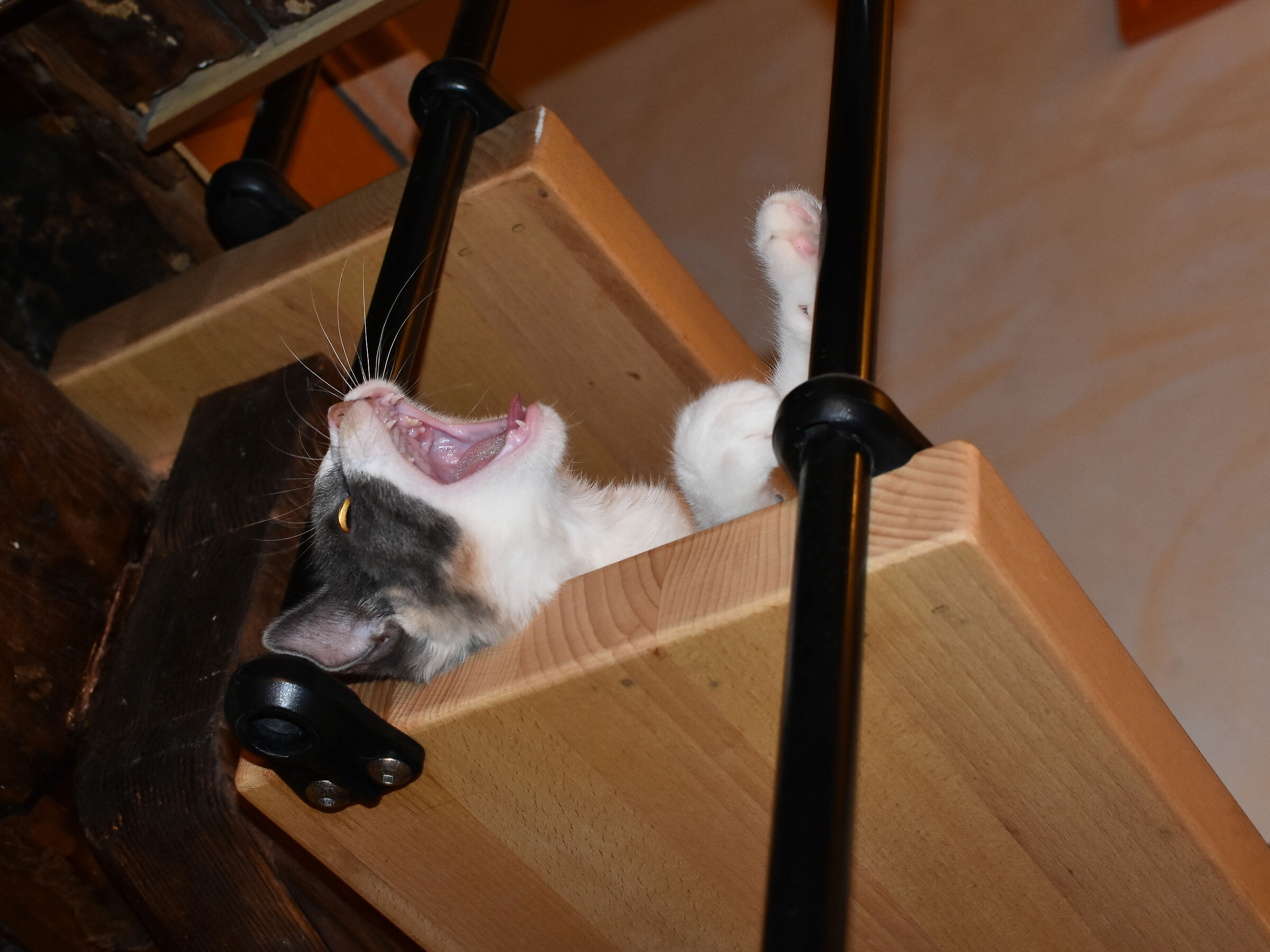 E non dirmi di stare calma!!!