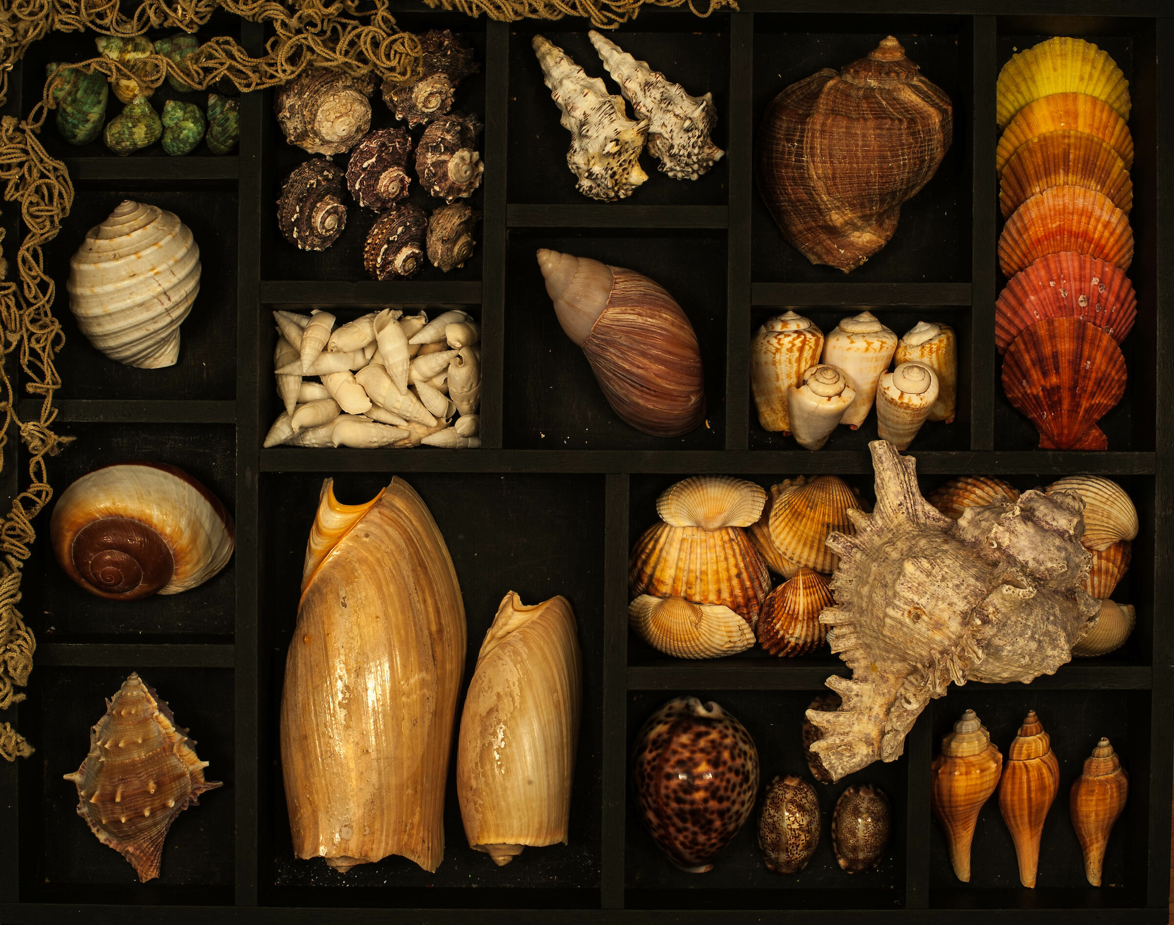 " Un'estate al mare "