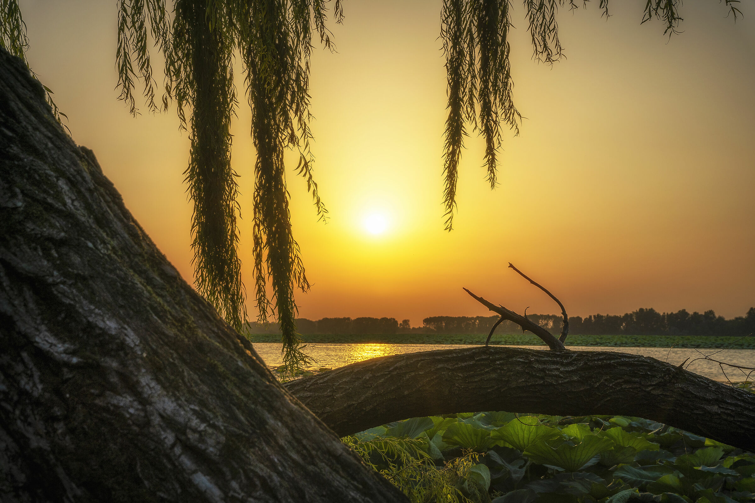 Lake Mantua at sunset