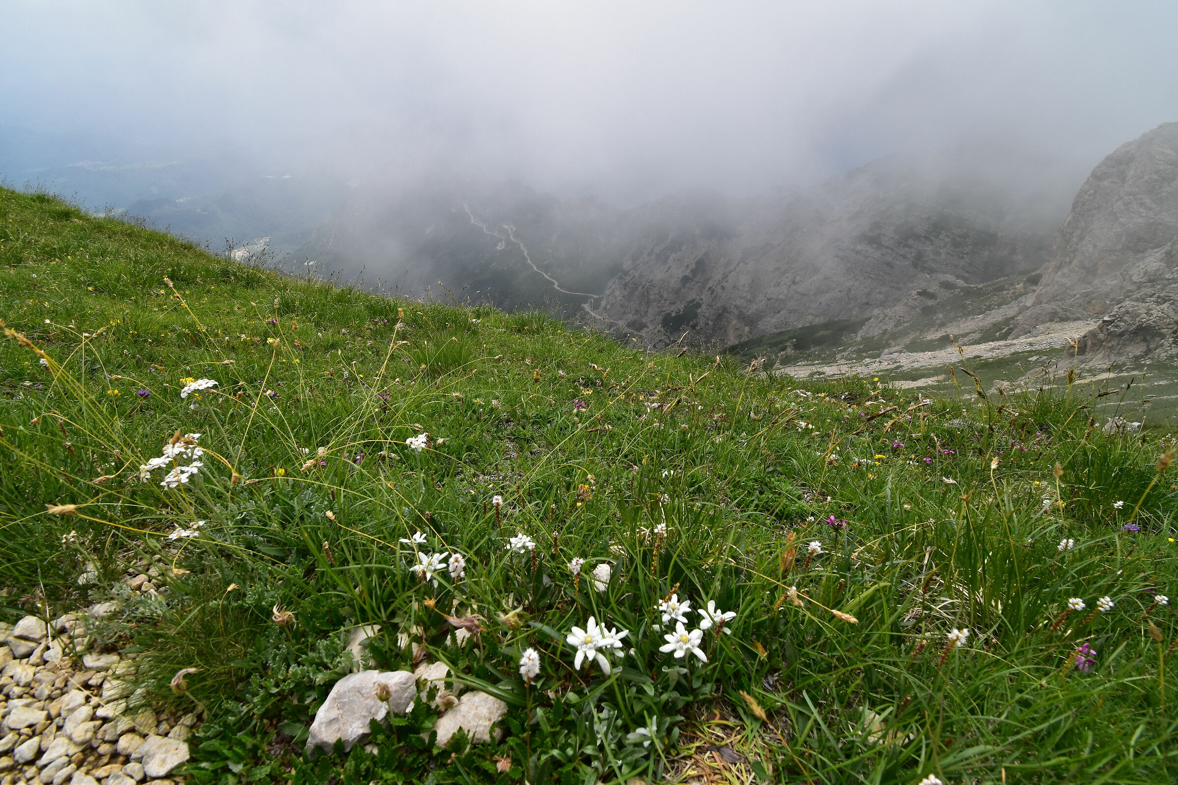 Street of Heroes from the Pasubio