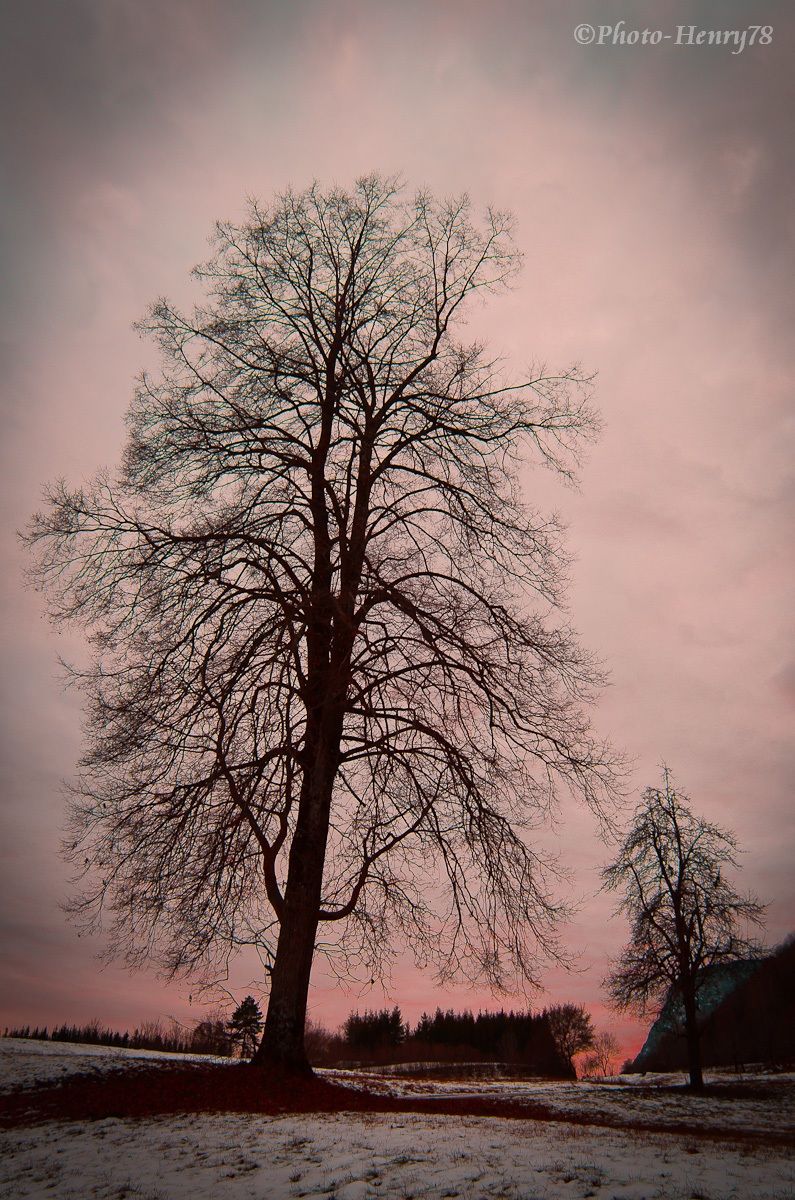 Il vecchio e il bambino