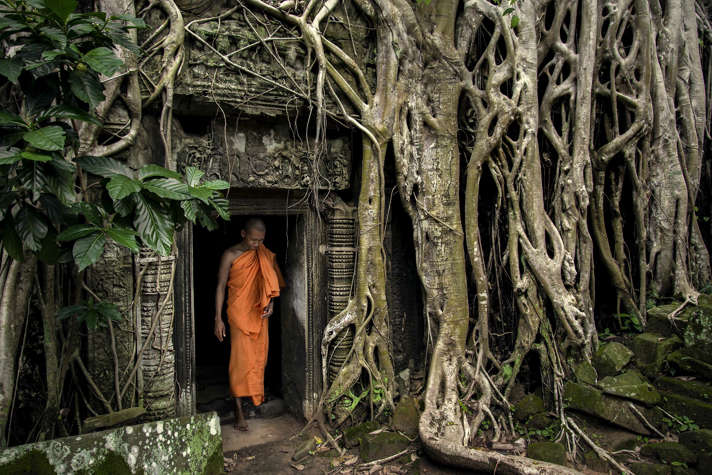 The Hidden Temple