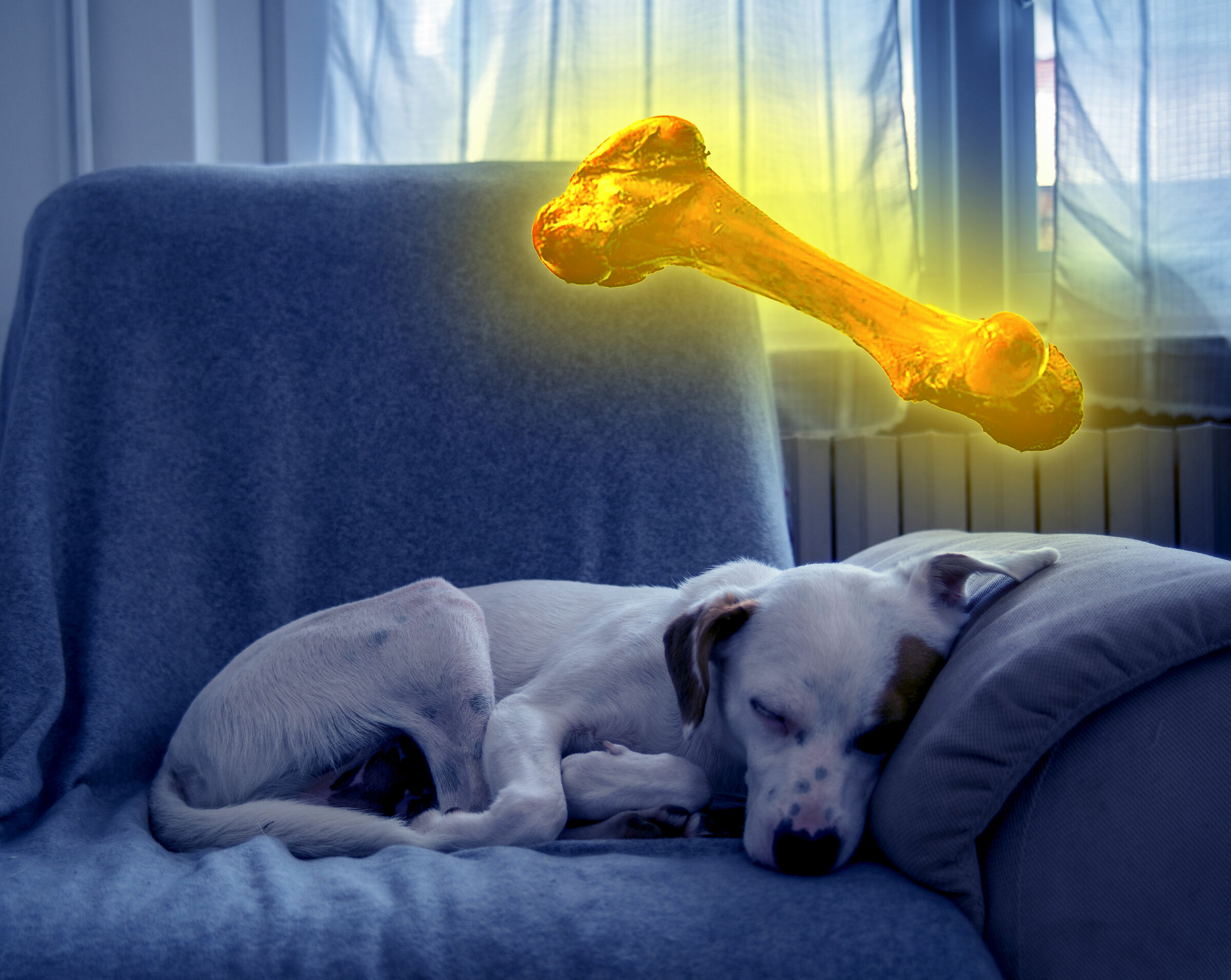 Marvin's Dream