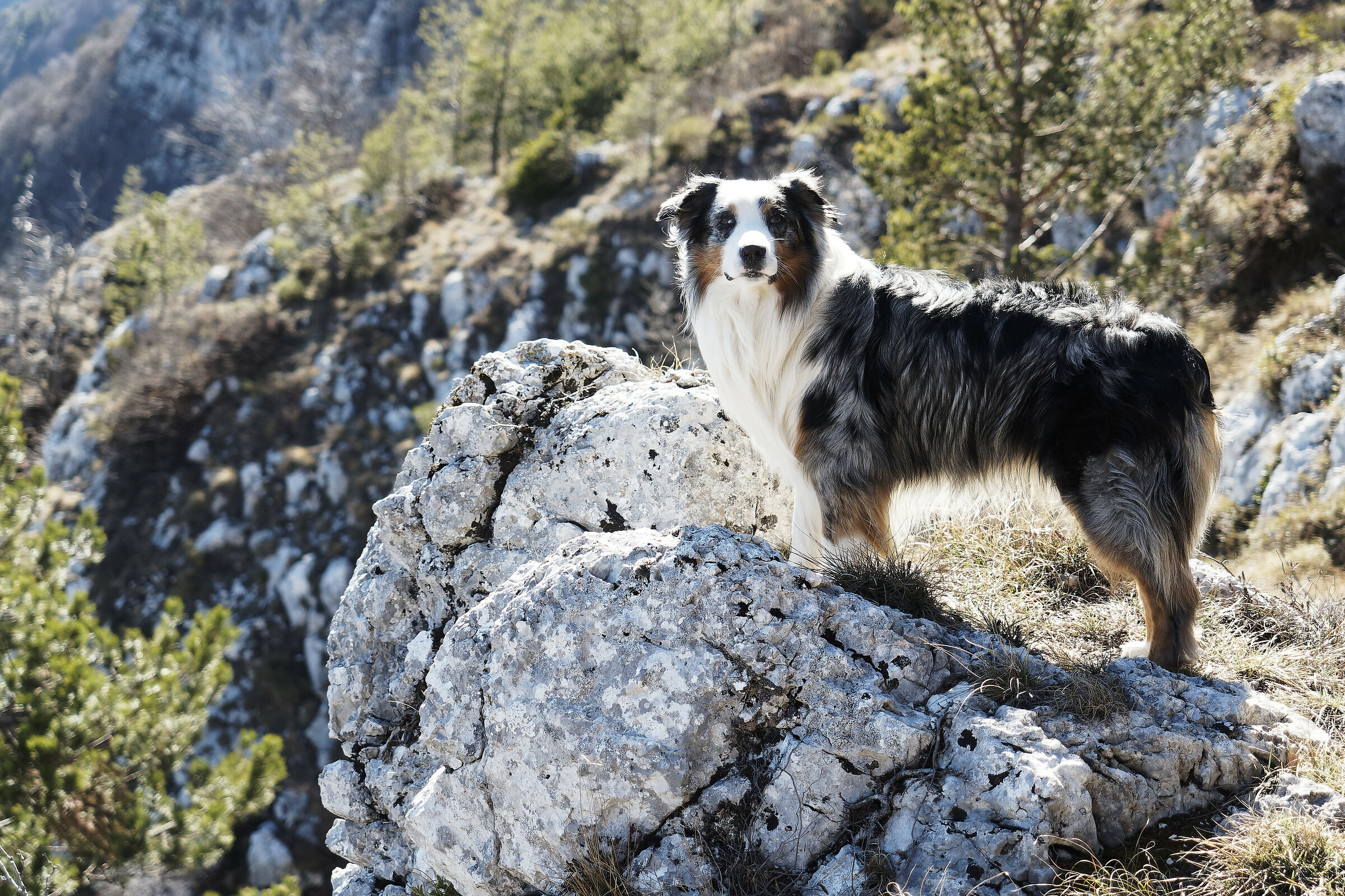 The look that melts you.