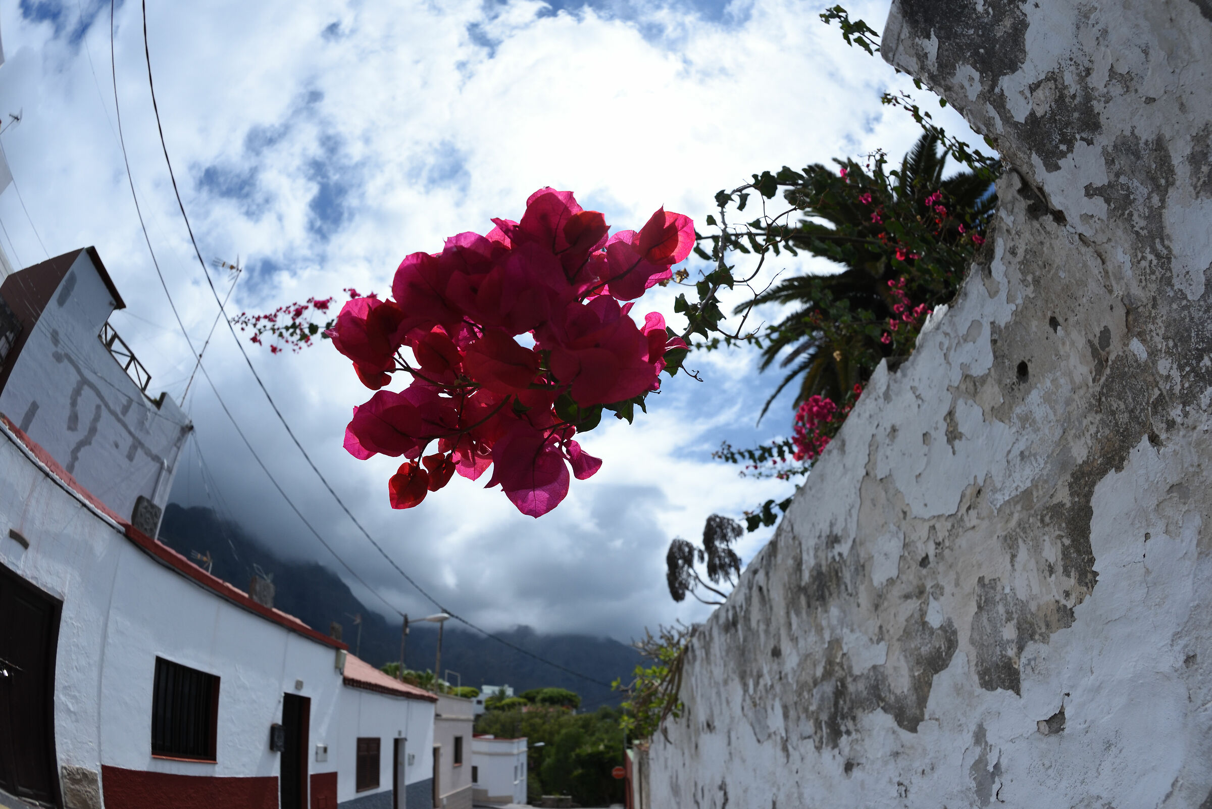 Los Silos (Tenerife)