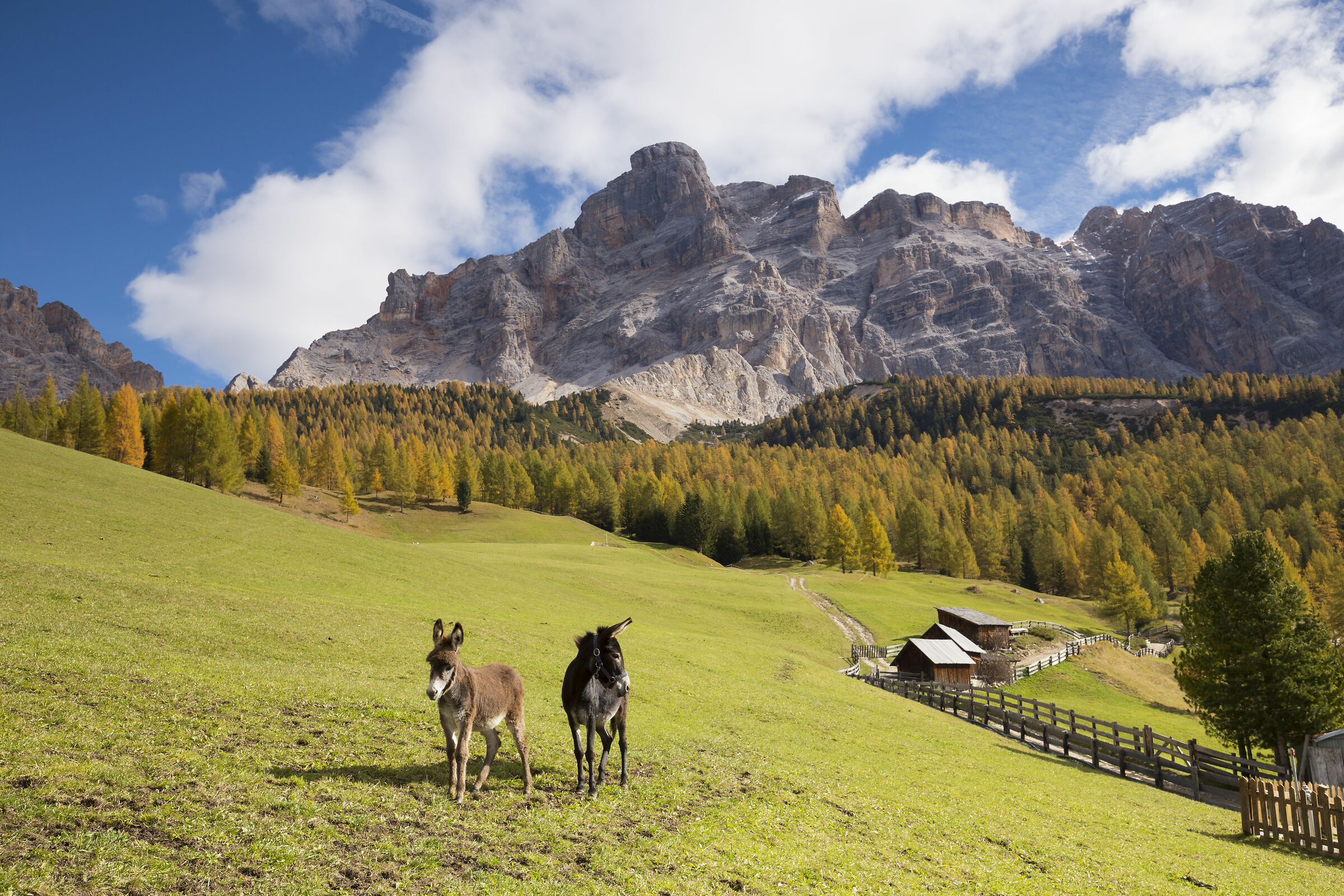 On the trail under the Conturines