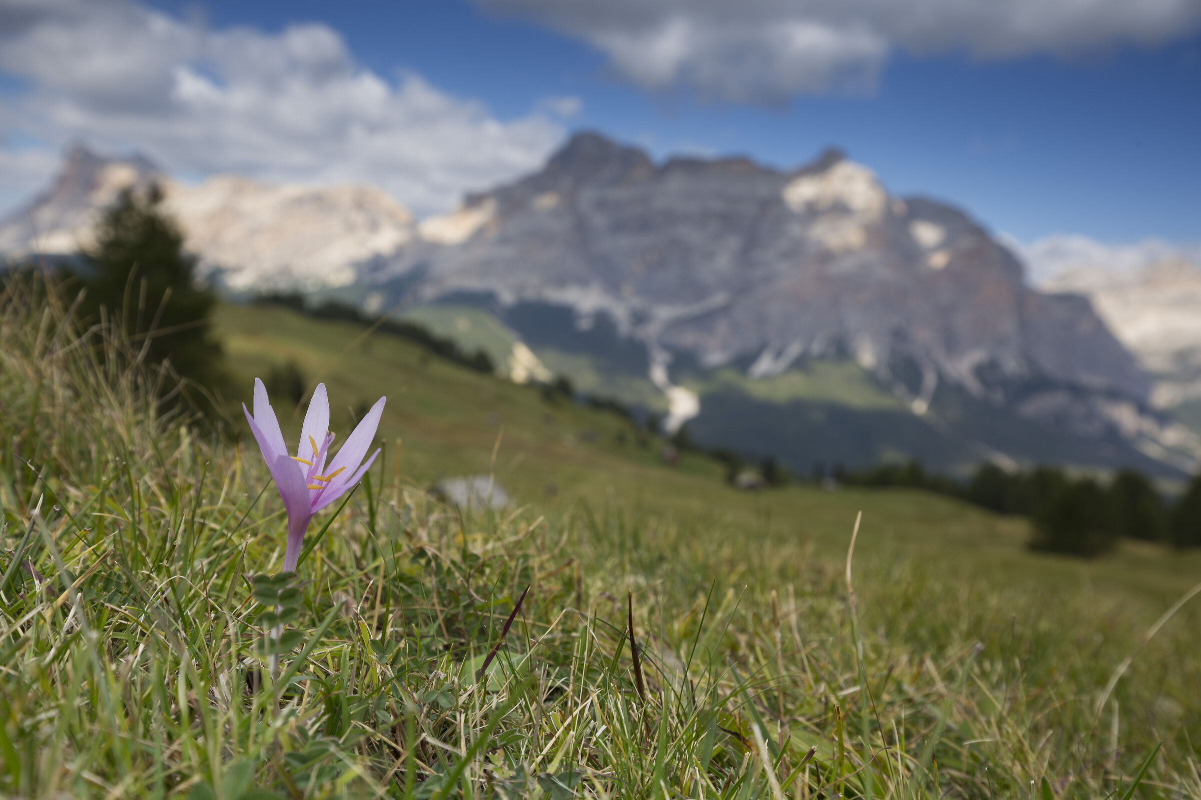 From Pralonalready to the Conturines