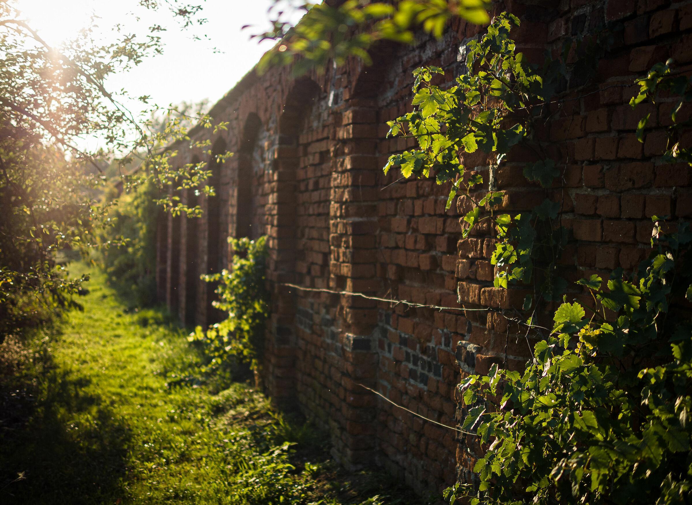 Monastero benedettino, Lubin, Polonia
