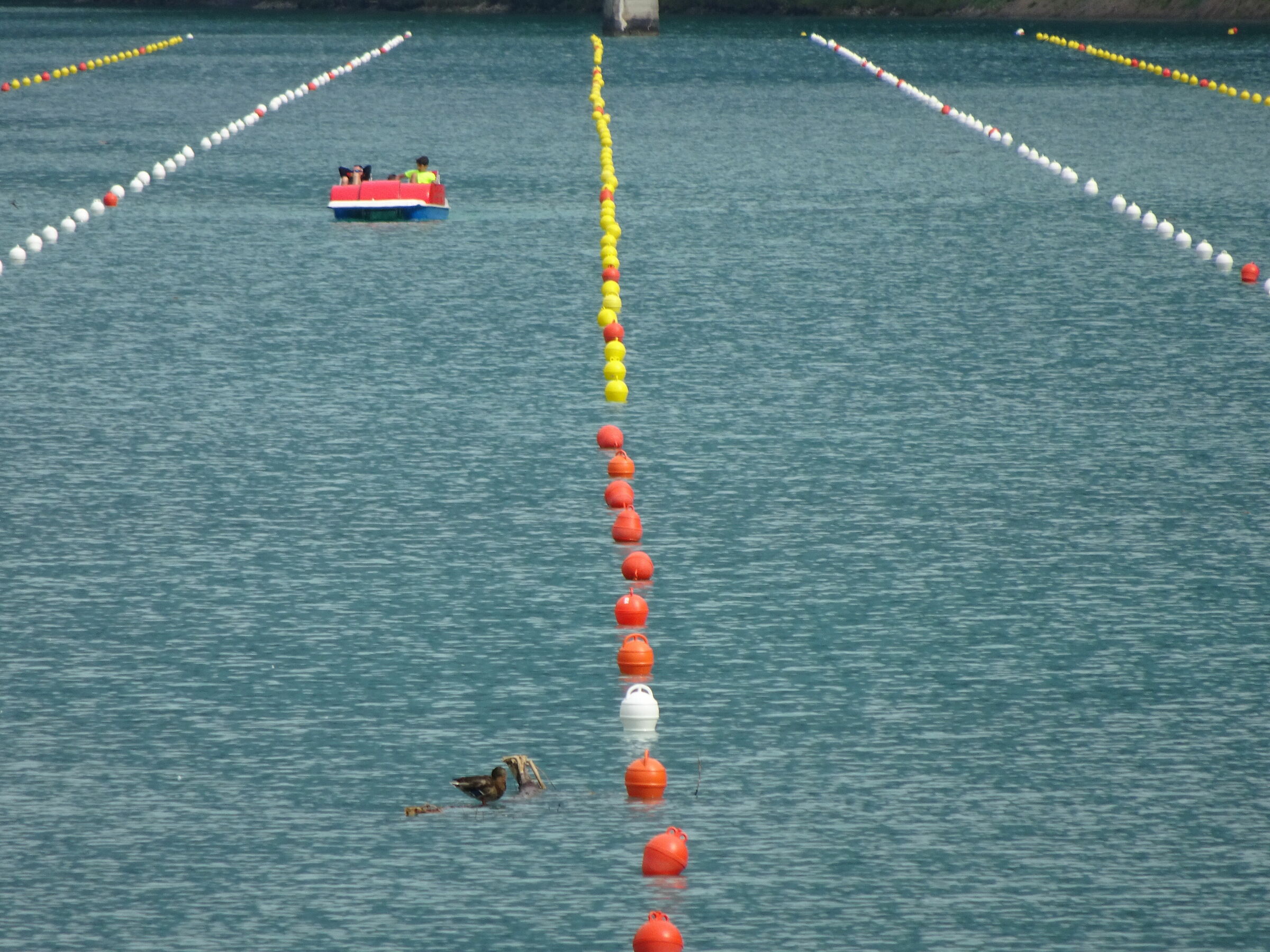 Going for Lakes: Auronzo di Cadore 2