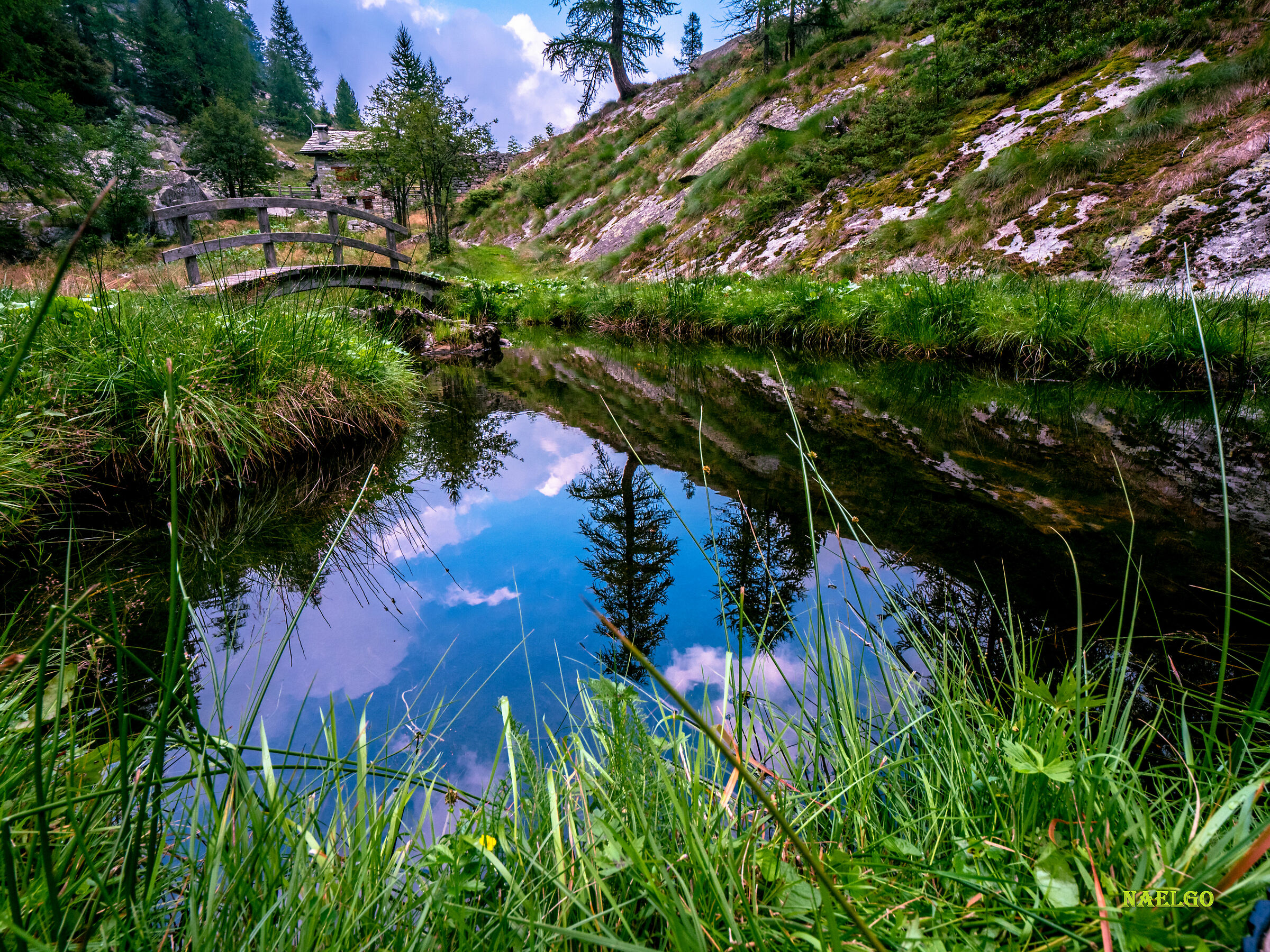 Lo stagno dei sogni.